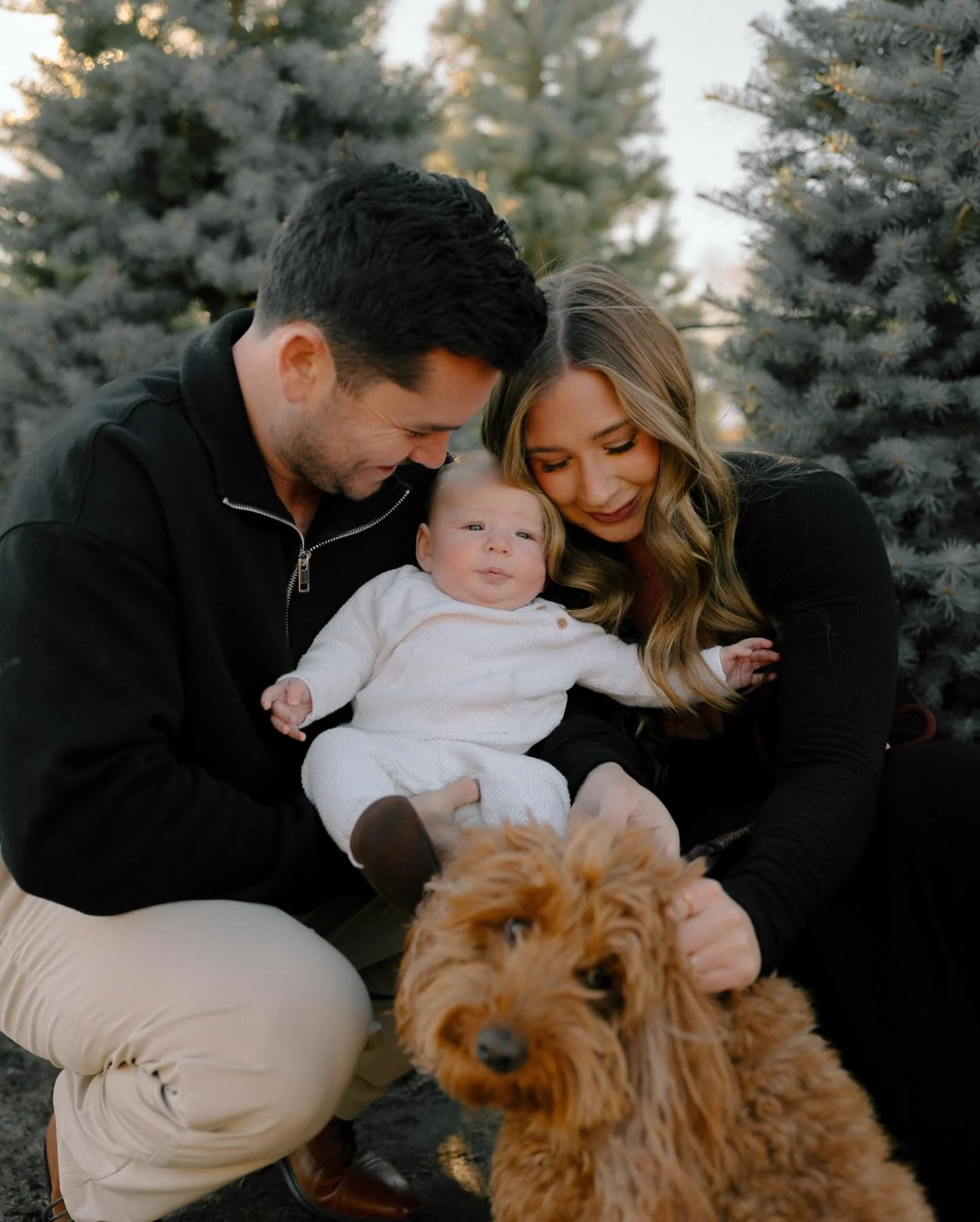 Hannah + Zach + Hayden + Honey 🤍

#coloradospringsphotographer #coloradophotographer #denverfamilyphotographer #familyphotography #hannahrummelphotography