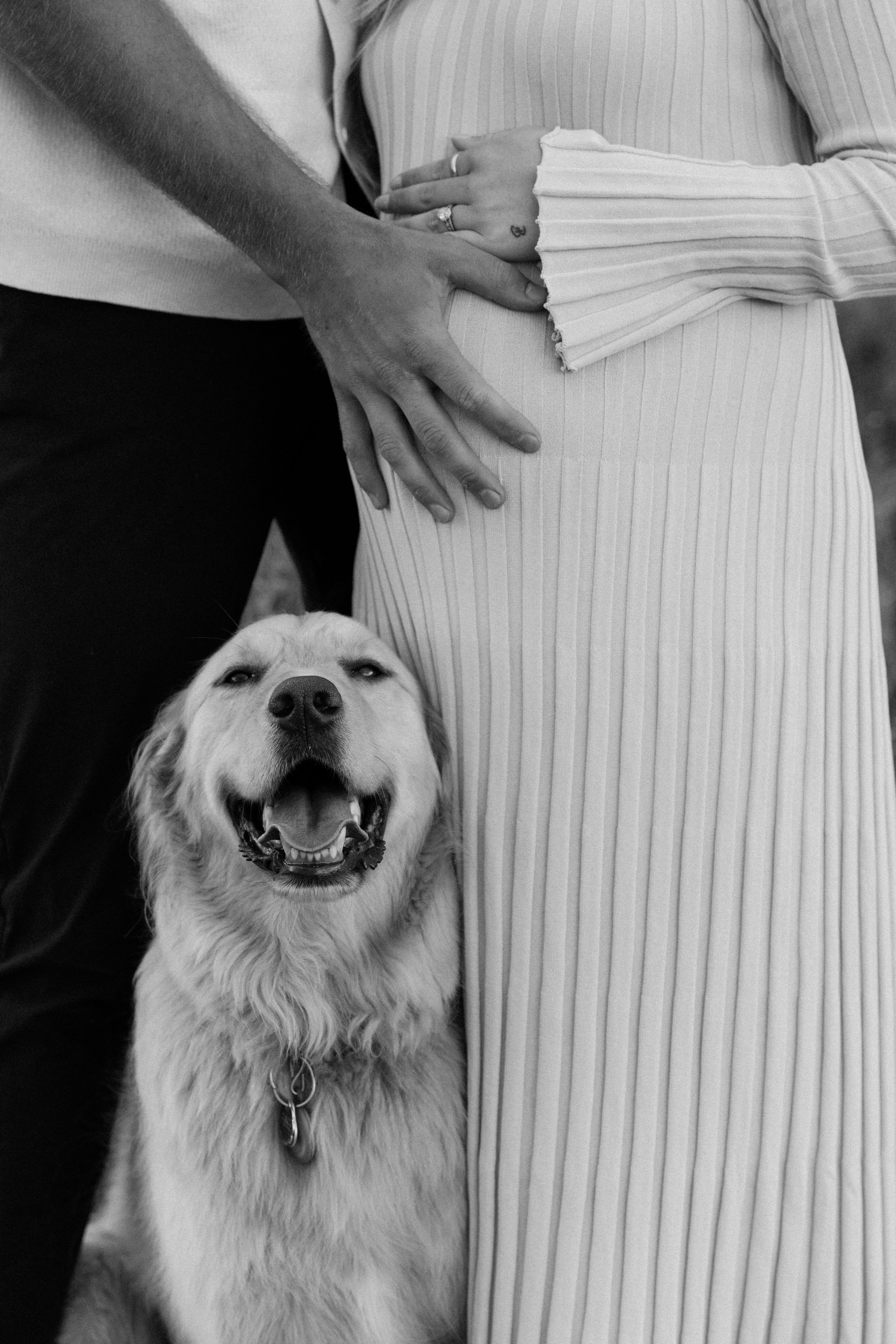 A couple with a golden retriever dog, with visible wedding rings, standing close together, dog in front with a happy expression, in black and white.