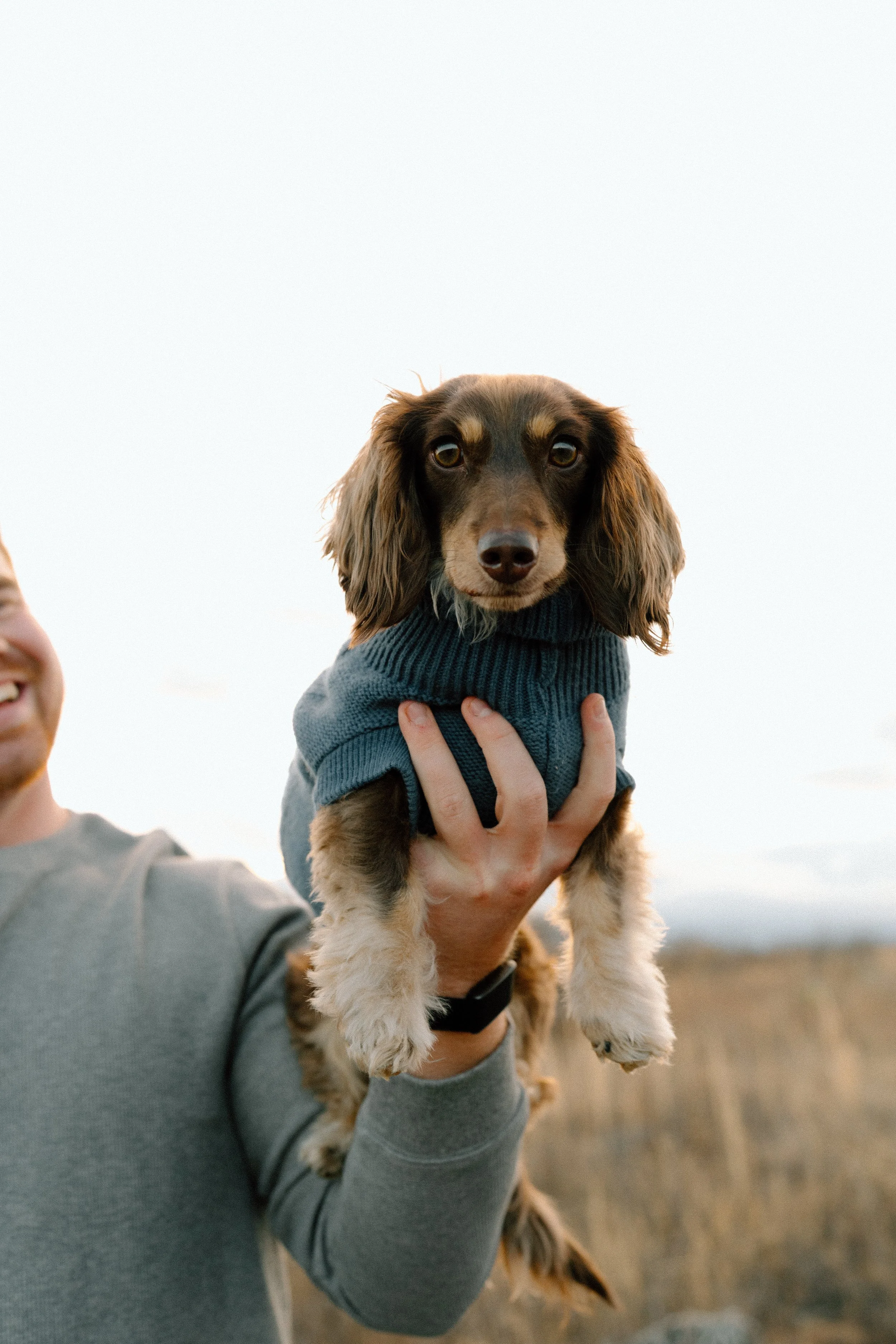 A man holding a small brown long-haired dog wearing a gray sweater outdoors in a field during daytime.