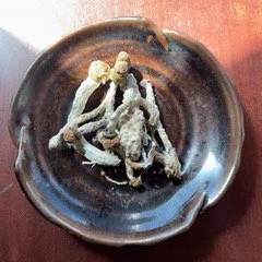 Dried ghost crab carcasses in a black ceramic bowl