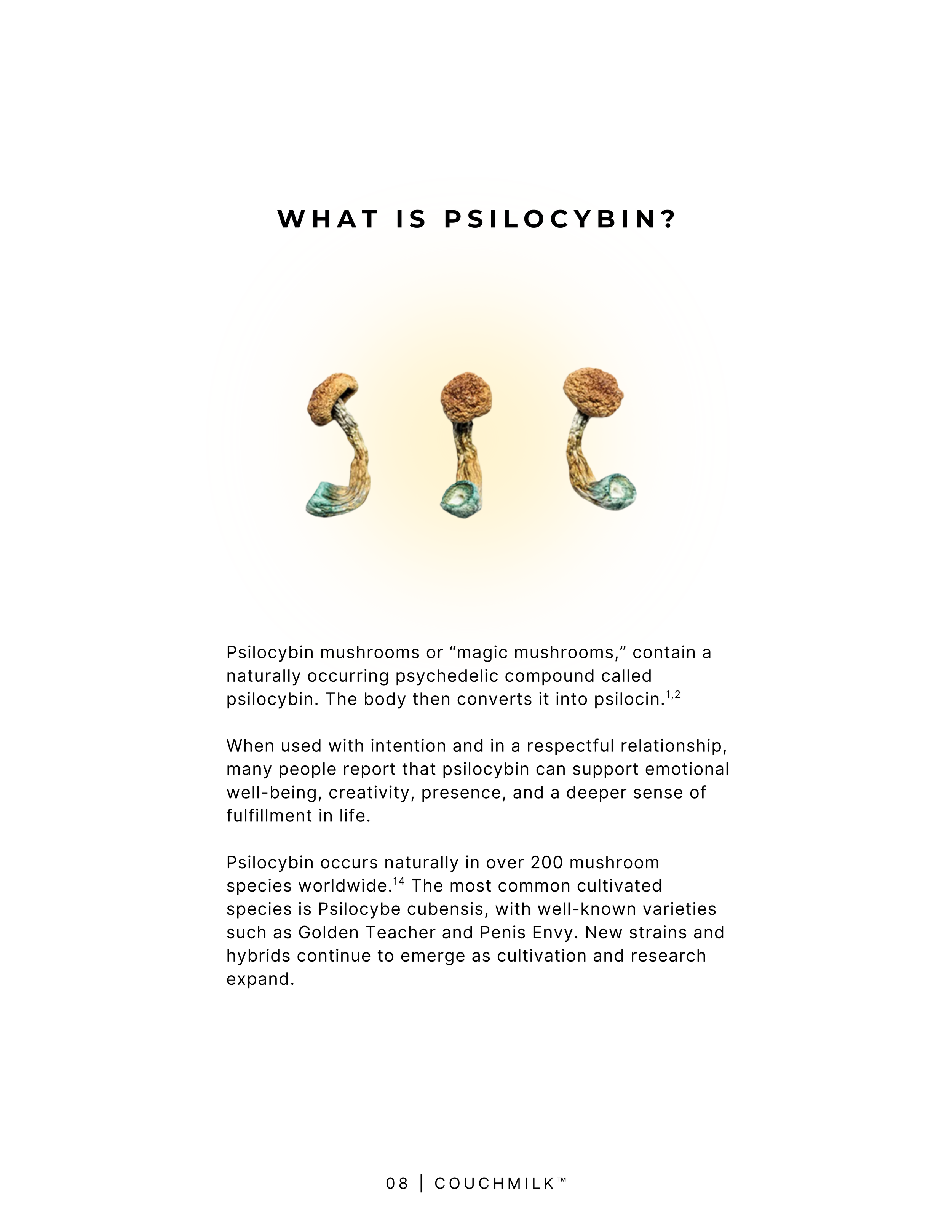 what is psilocybin.png