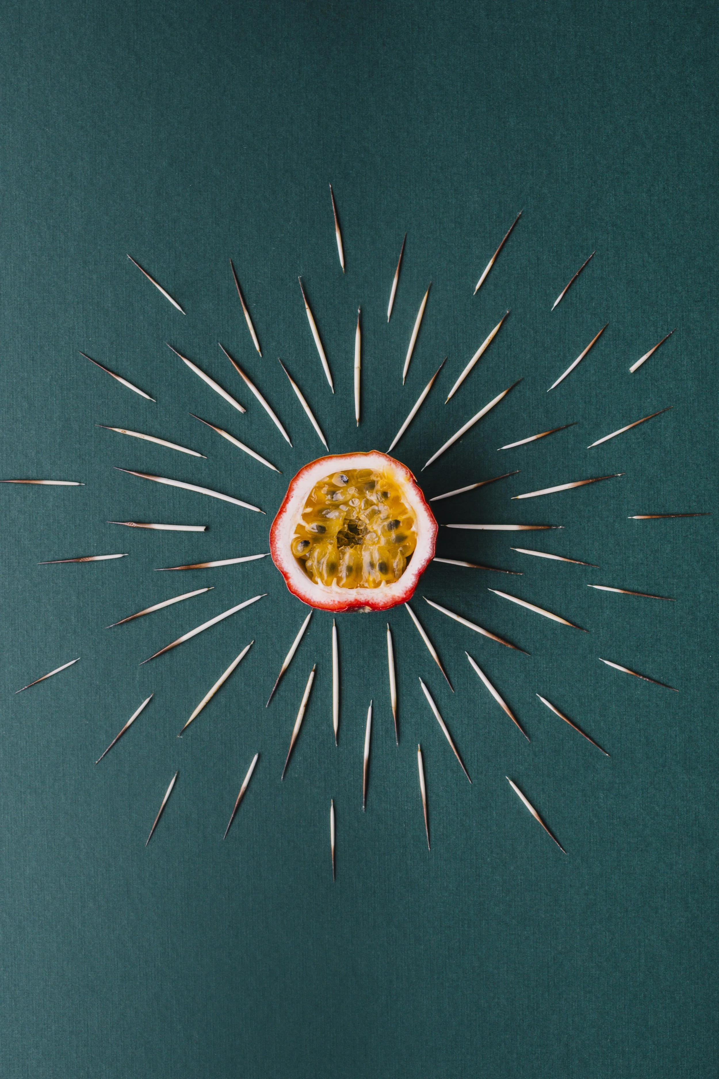 ORTHOGONALVIEWS14 copy.jpg