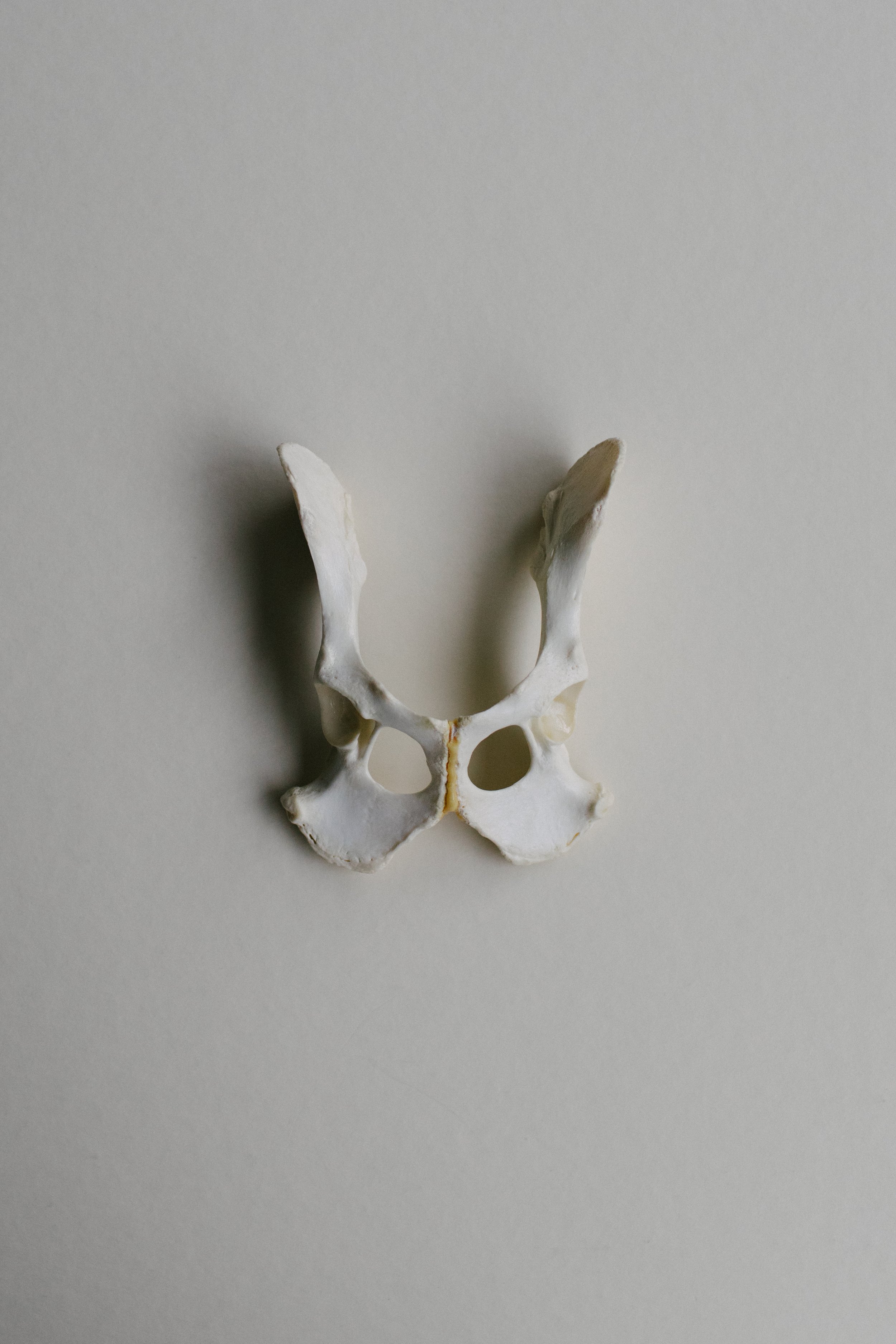 Hips Don't Lie (3 colors)