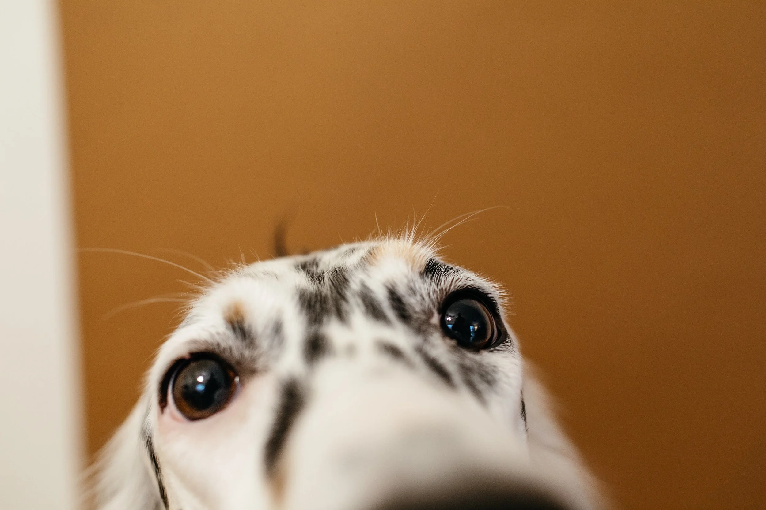 Hey you, you are capable!