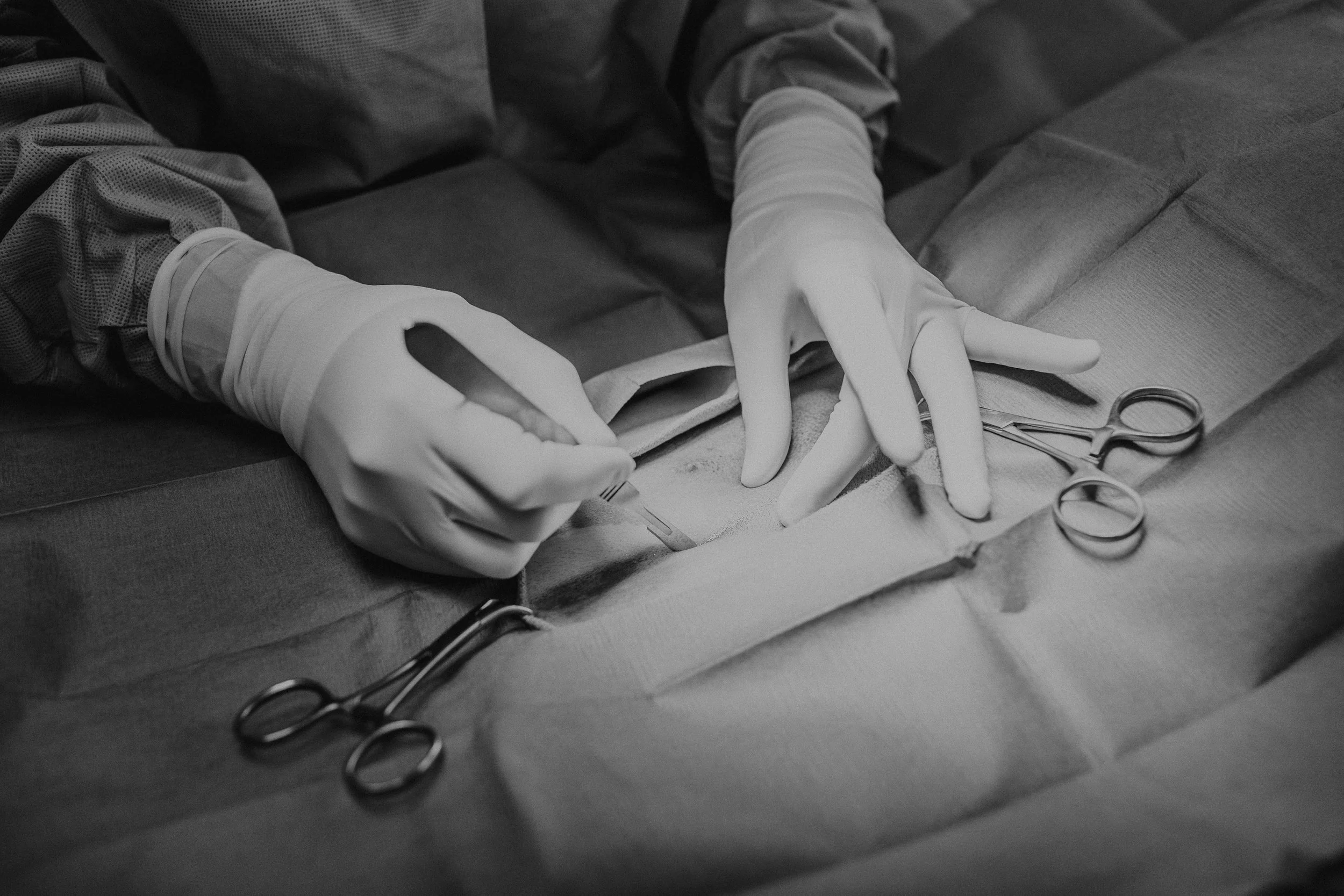 First Cut Is The Deepest