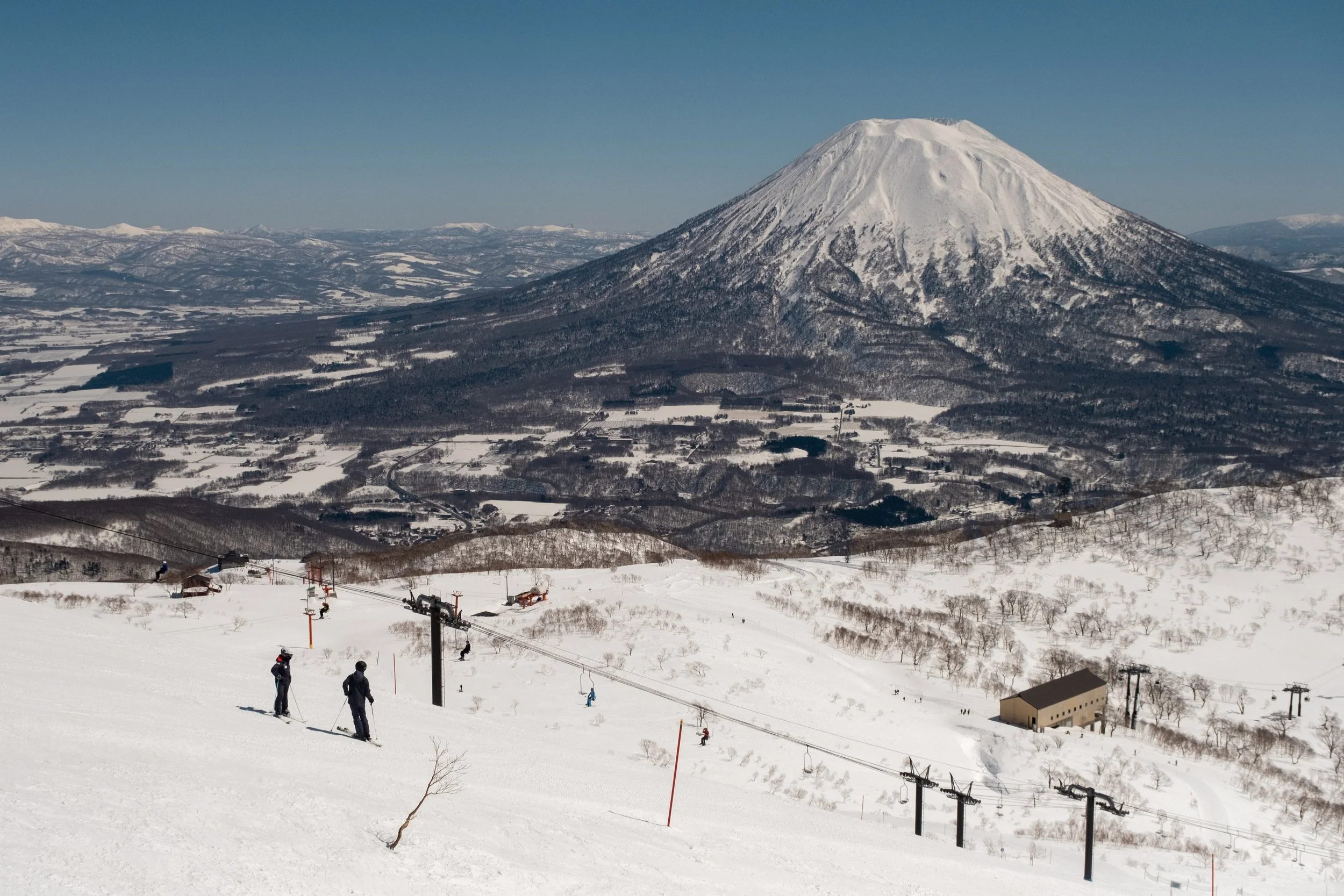 Sunny Spring Photos-8.jpg