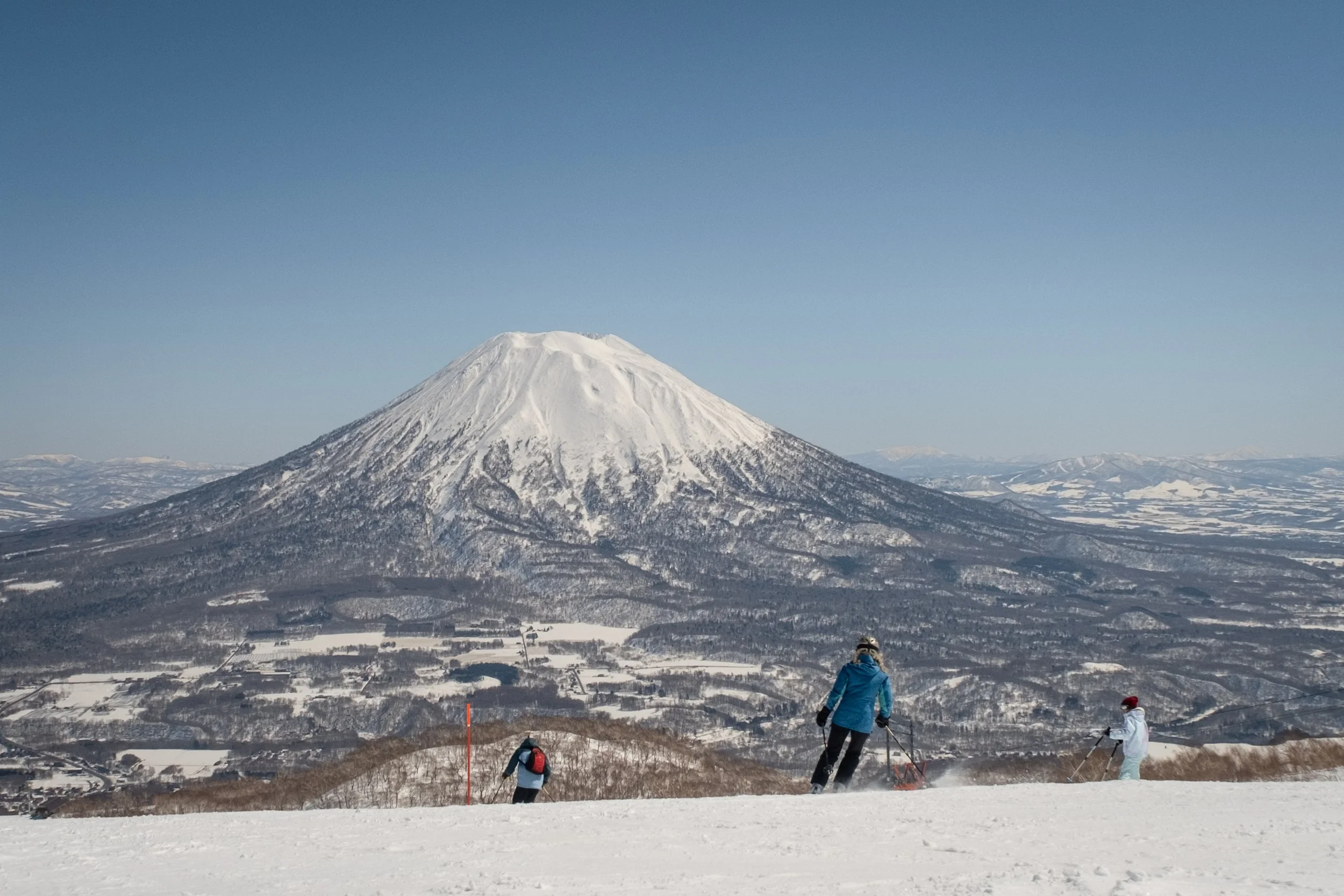 Sunny Spring Photos-15.jpg