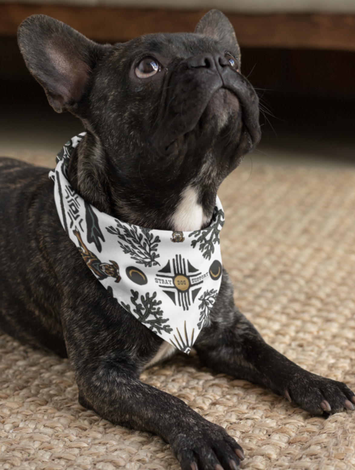 Screenshot 2025-12-19 at 2.18.47 PM.png