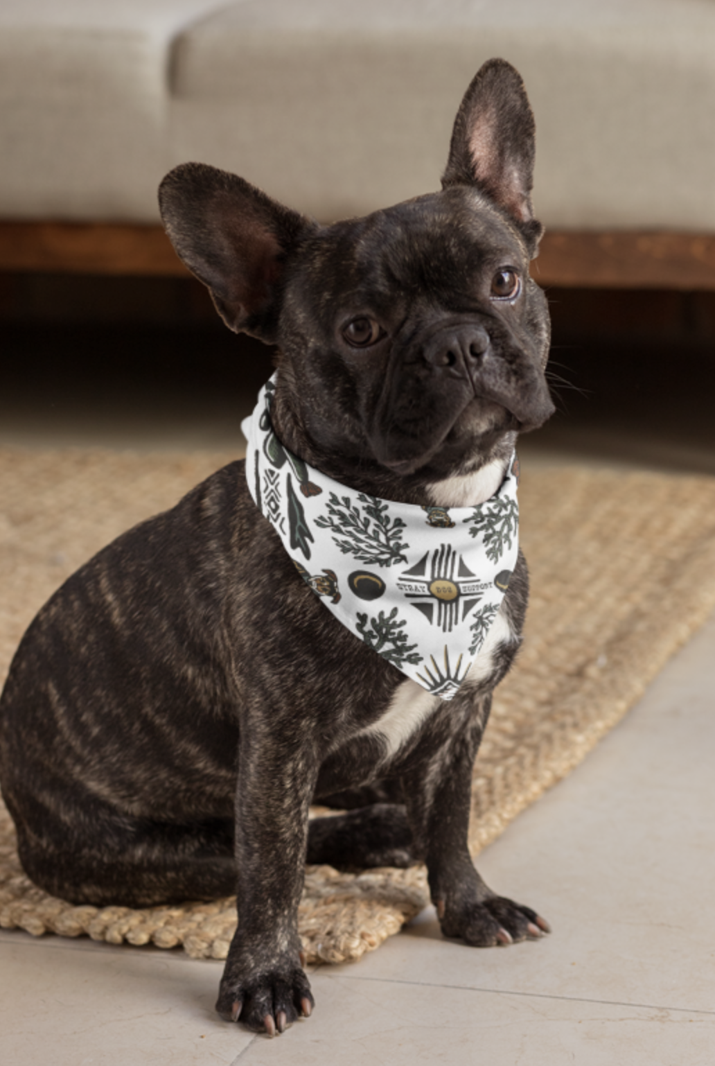 DESERT SPIRIT BANDANA
