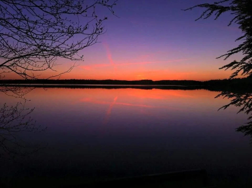 Sunset over a calm lake with trees and branches in the foreground.