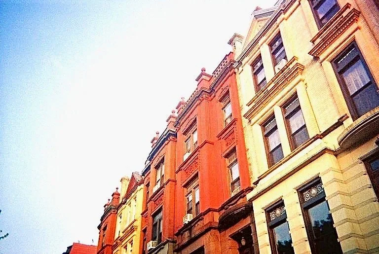 Autumn in Limbo 
Bed Stay, Brooklyn,  NYC - Fujifilm Disposable  (Fall 2023) 