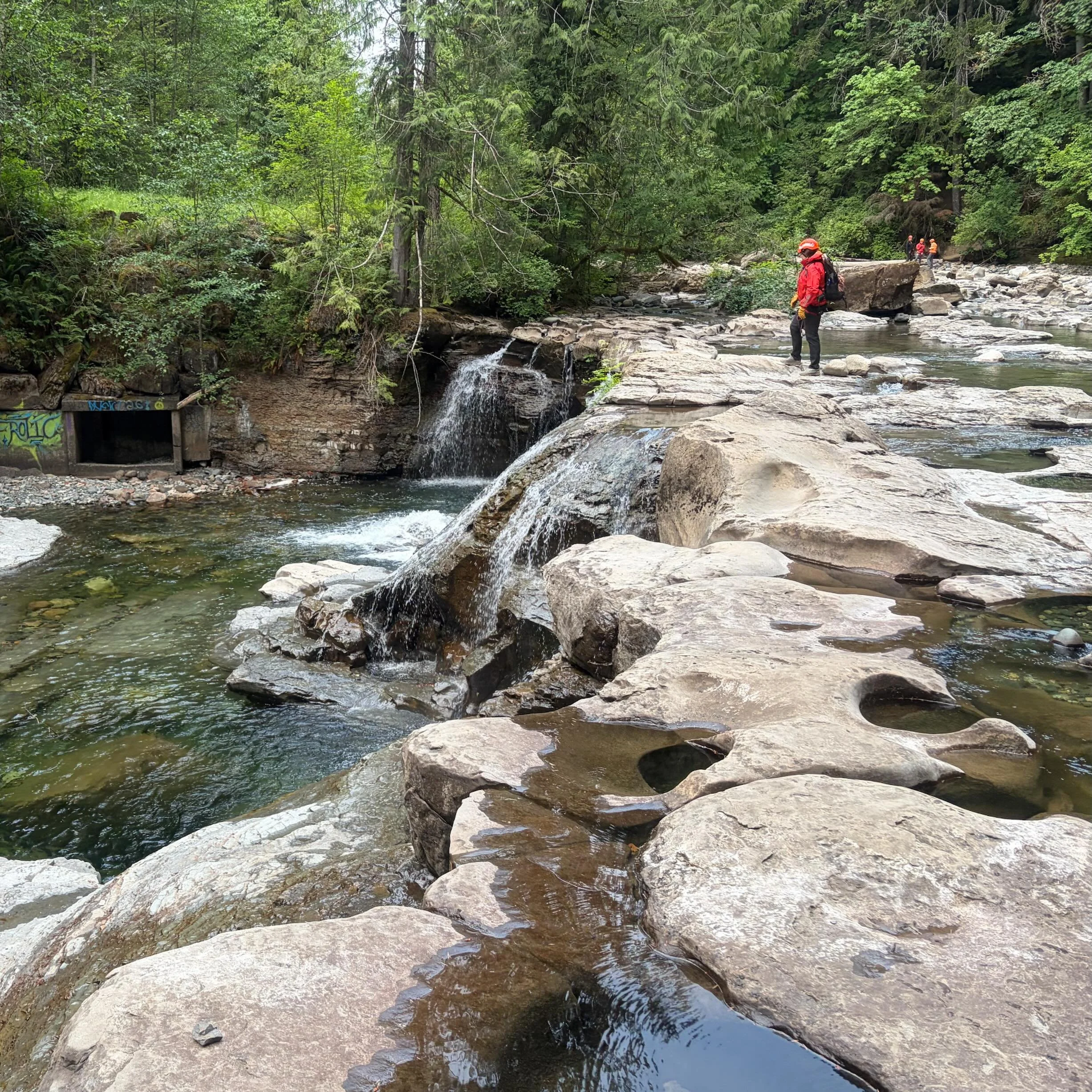 This week, CVSAR members were out training at Brown&rsquo;s River Falls, practicing mountain and rope-assisted travel skills.

The session included improvised harnesses, personal anchors, horizontal and vertical handlines, continuous attachment, and 