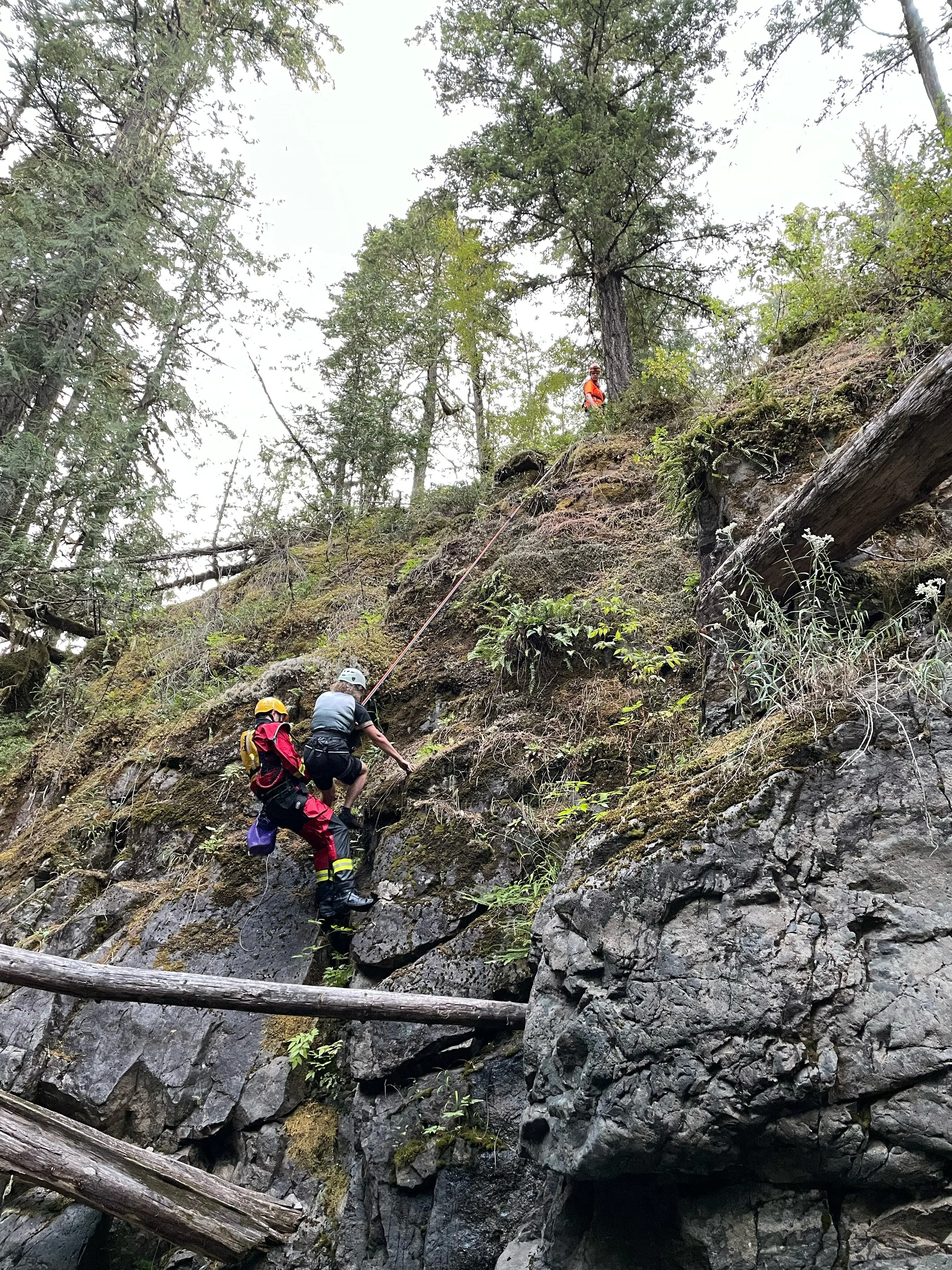 Three people, some with helmets and harnesses, are rappelling down a rocky, forested mountain slope.