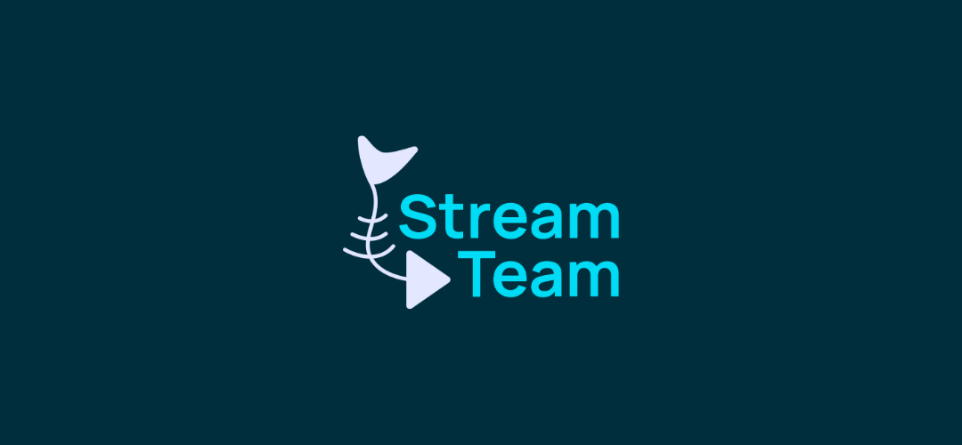 The Stream Team — Stream Now
