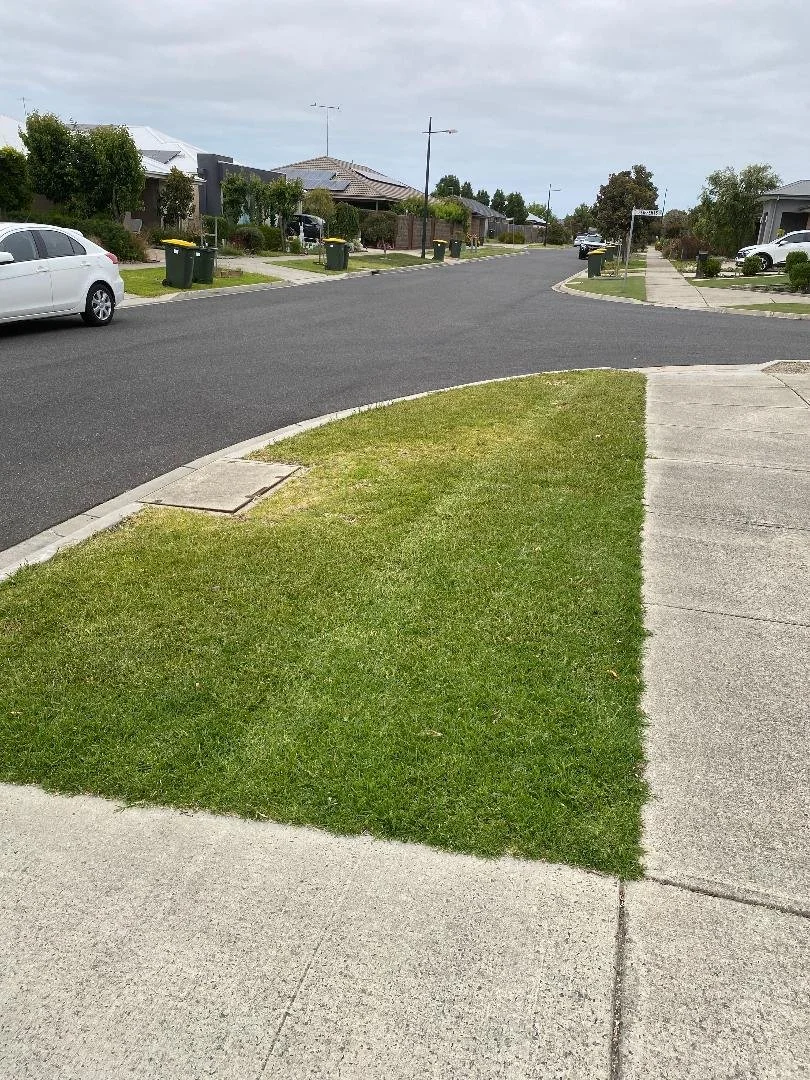 Residential street with houses, parked cars, green trash bins, and a grassy lawn area next to a sidewalk.