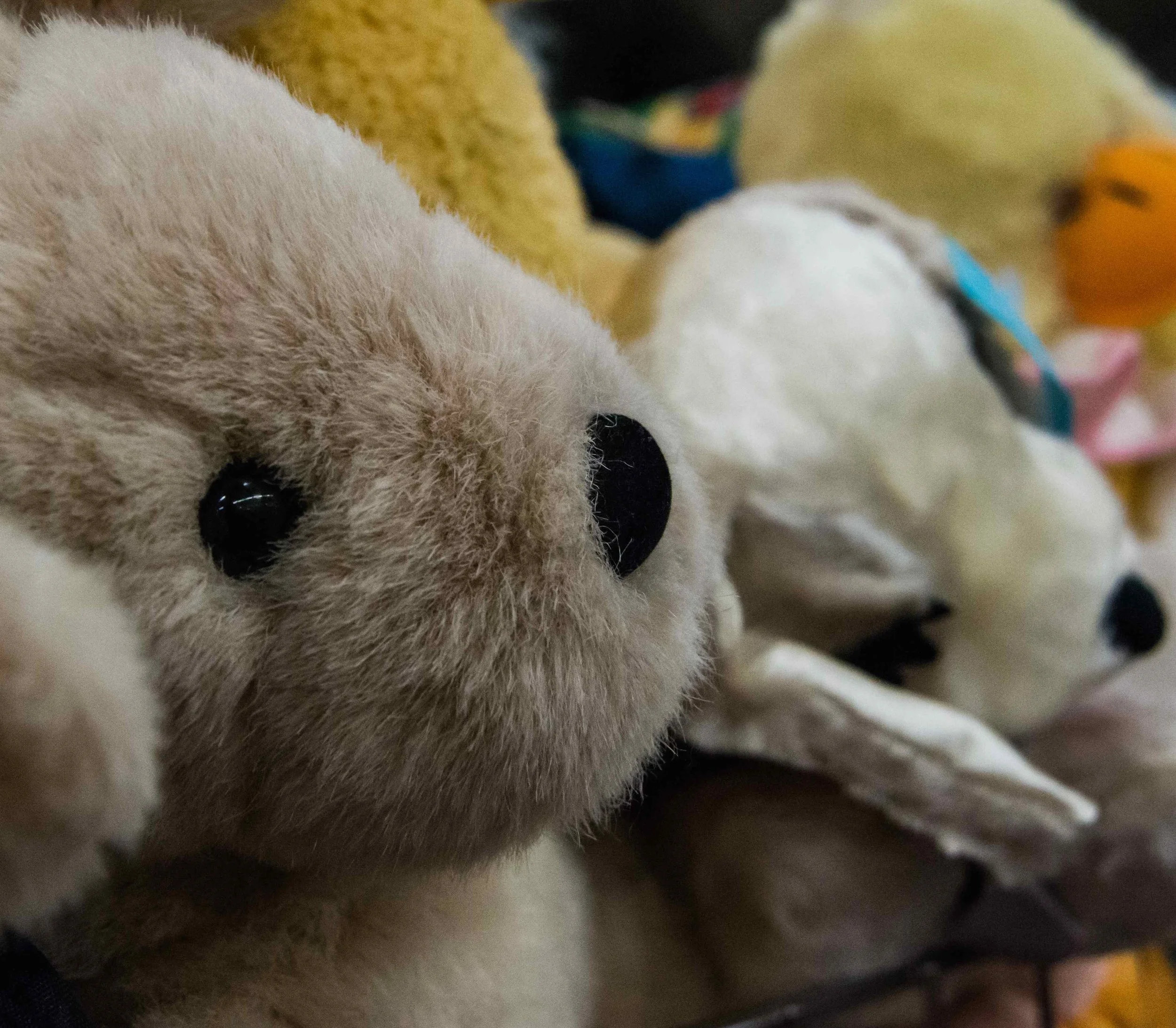 PLUSHIES - Make someone special happy.