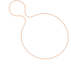 A simple line drawing of a bomb with a fuse.