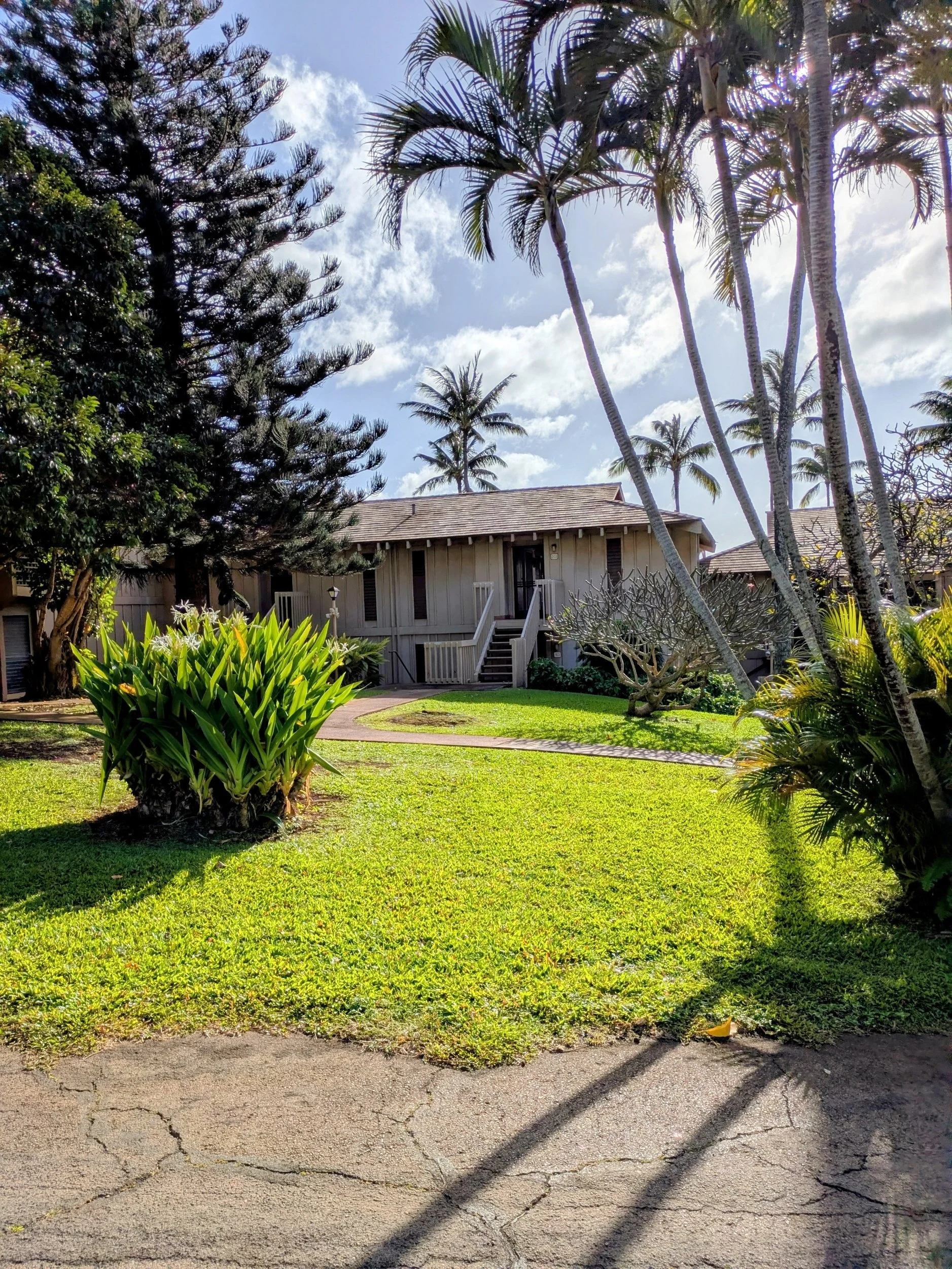 Walking paths through the property - landscaped grounds, 