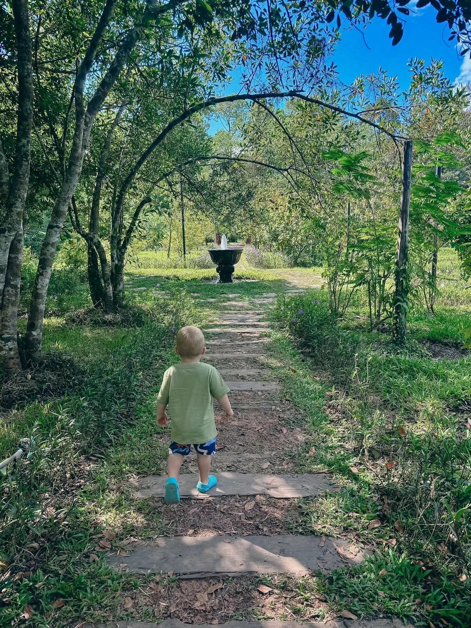 Angkor Botanical Garden