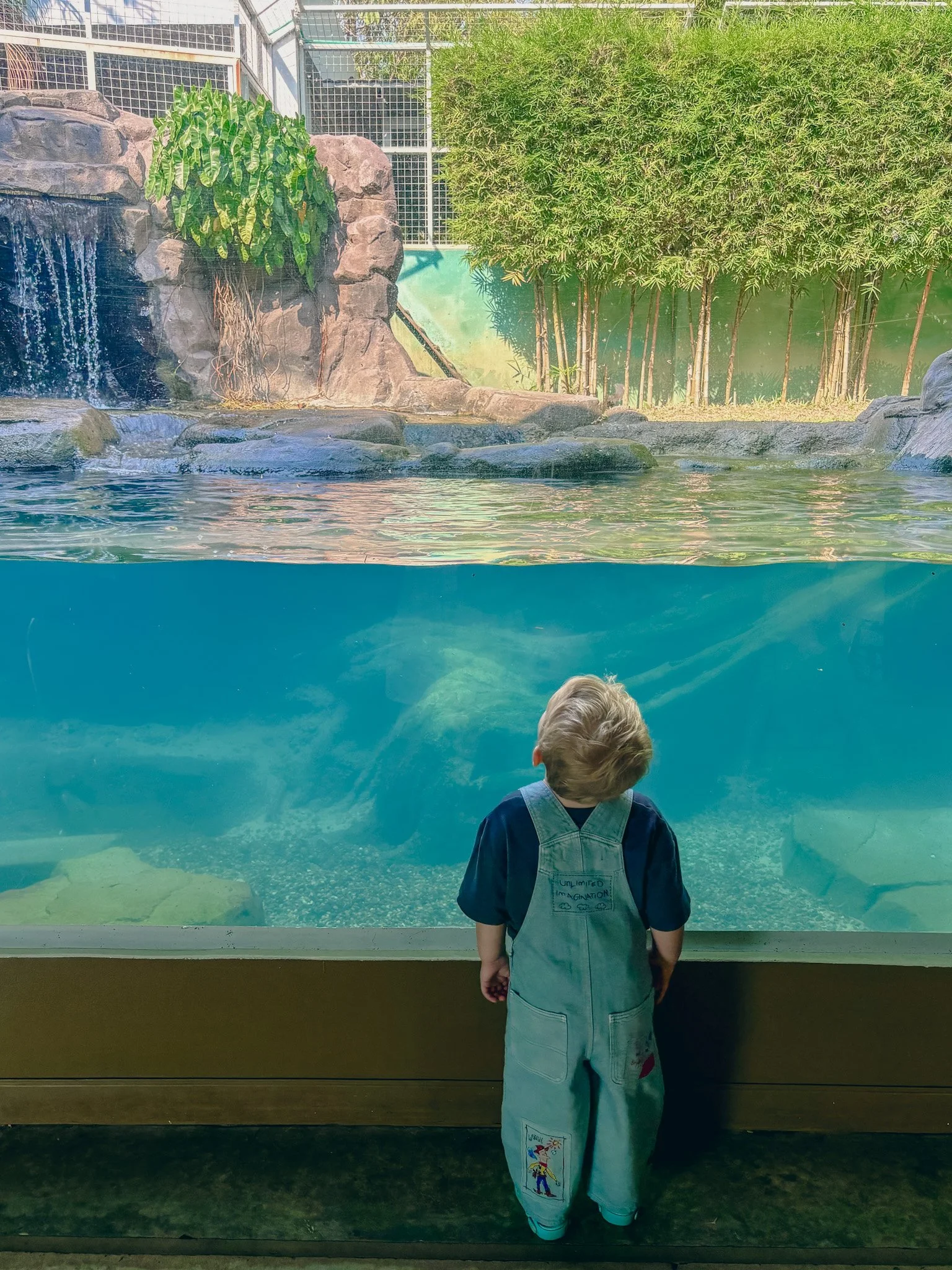 Angkor Wildlife and Aquarium 