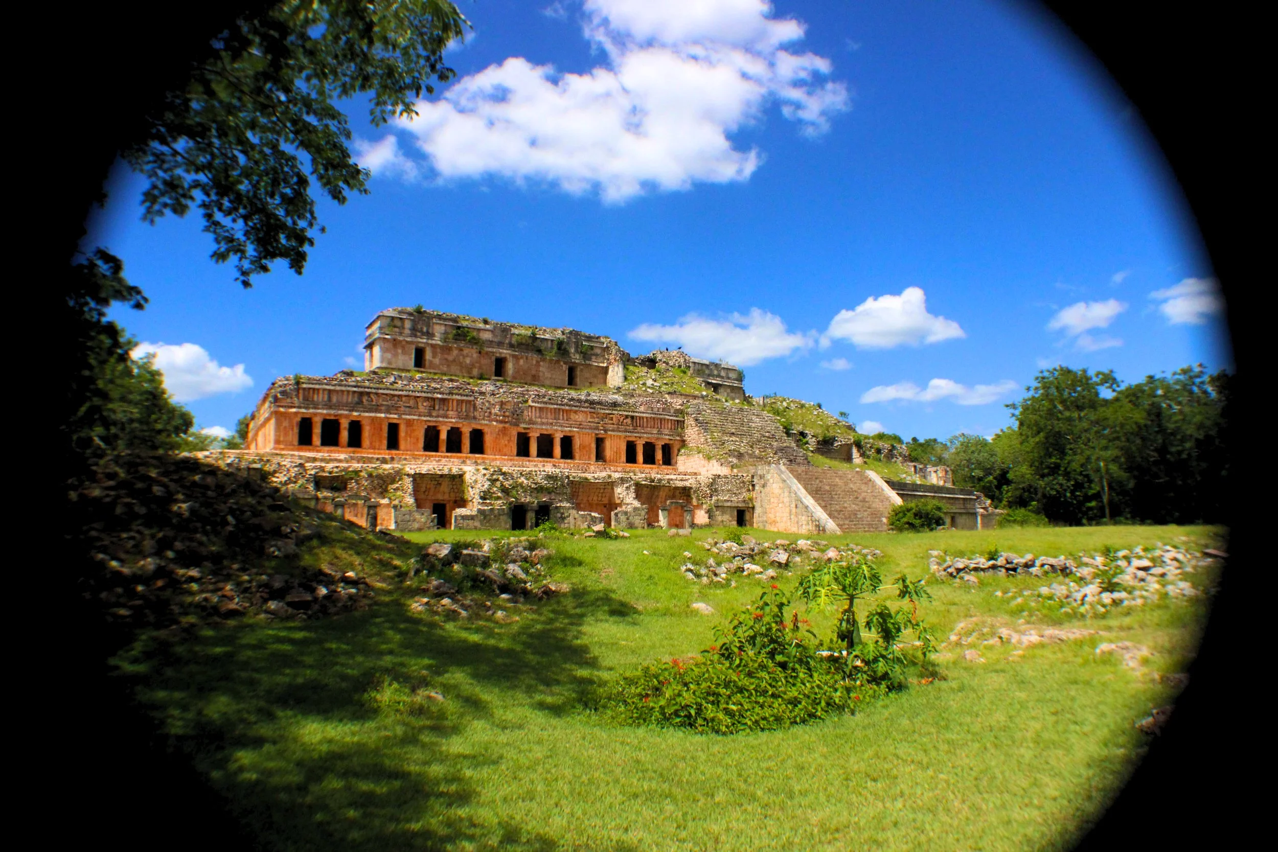 Outdoor/Field Photography
