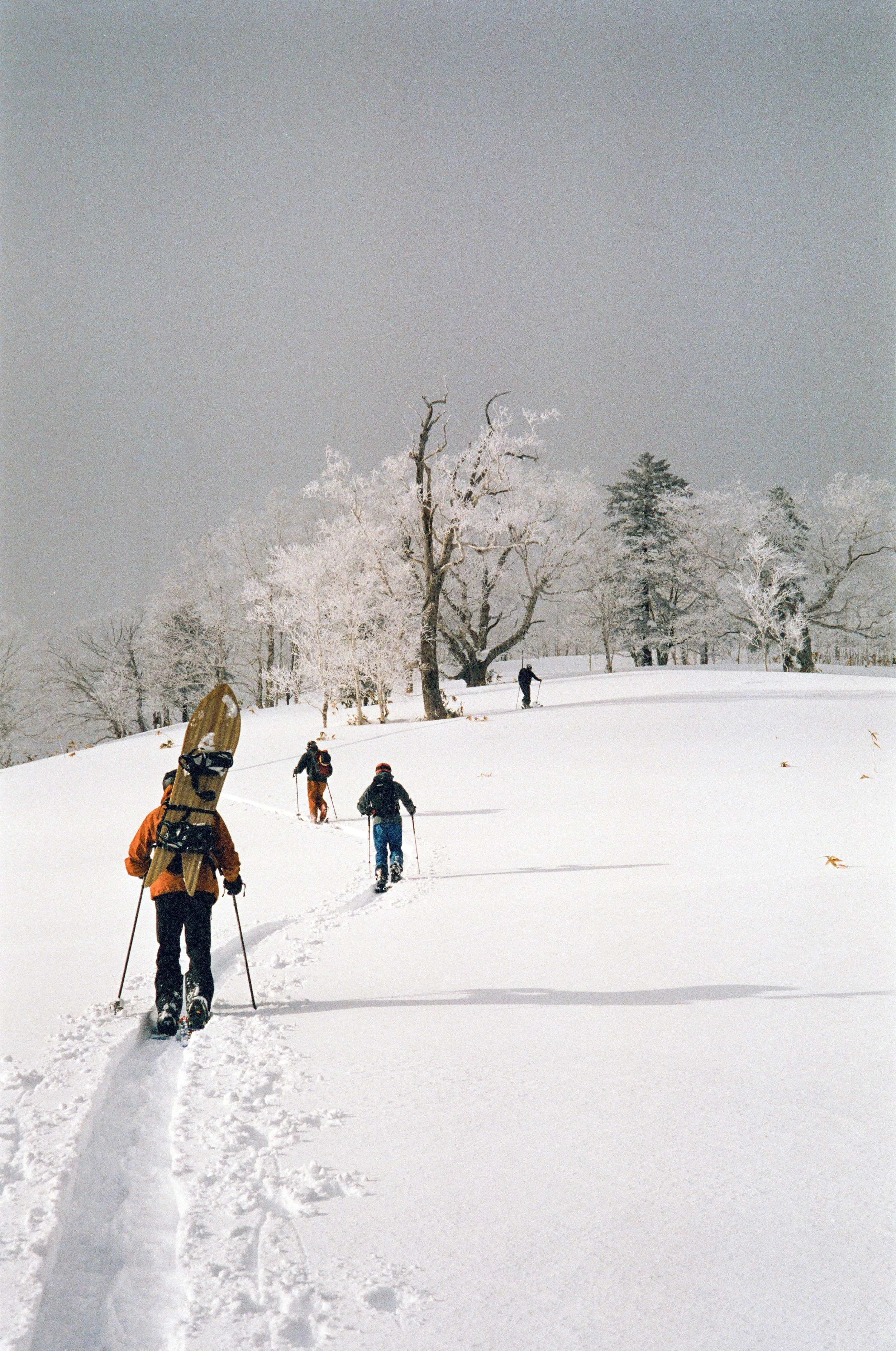 _stephjones_stephenjones-000026900031 2.jpg