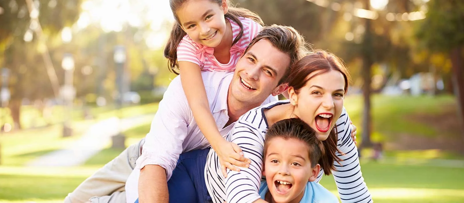 Human Structure and Stimulation, &amp; Dogs