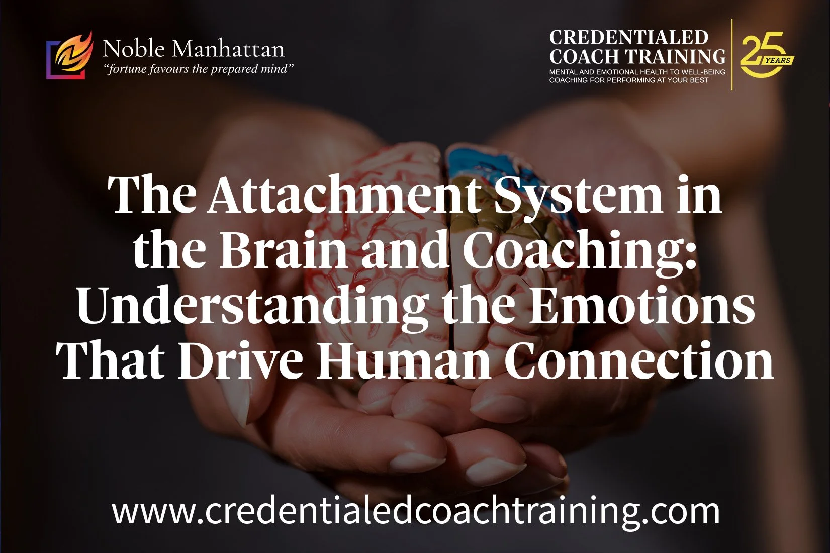 The Attachment System in the Brain and Coaching: Understanding the Emotions That Drive Human Connection by Tony Vernon, HWC, NMC, AMC, AMM