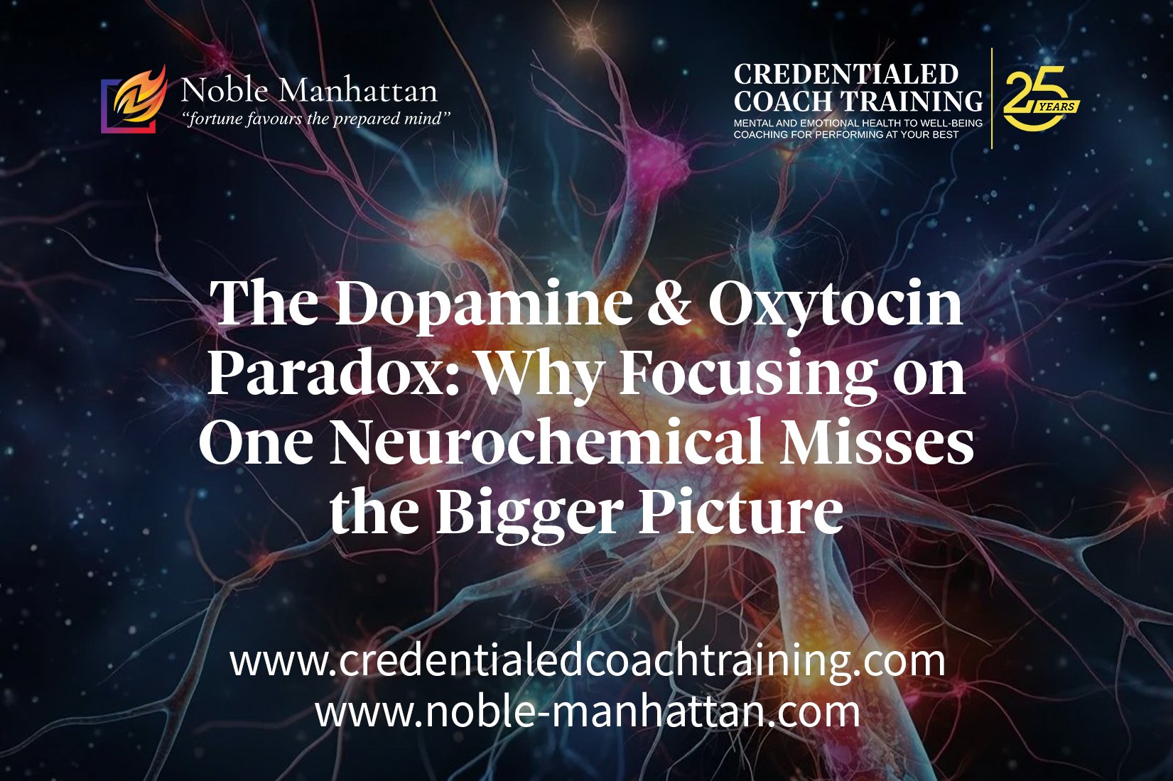 The Dopamine &amp; Oxytocin Paradox: Why Focusing on One Neurochemical Misses the Bigger Picture