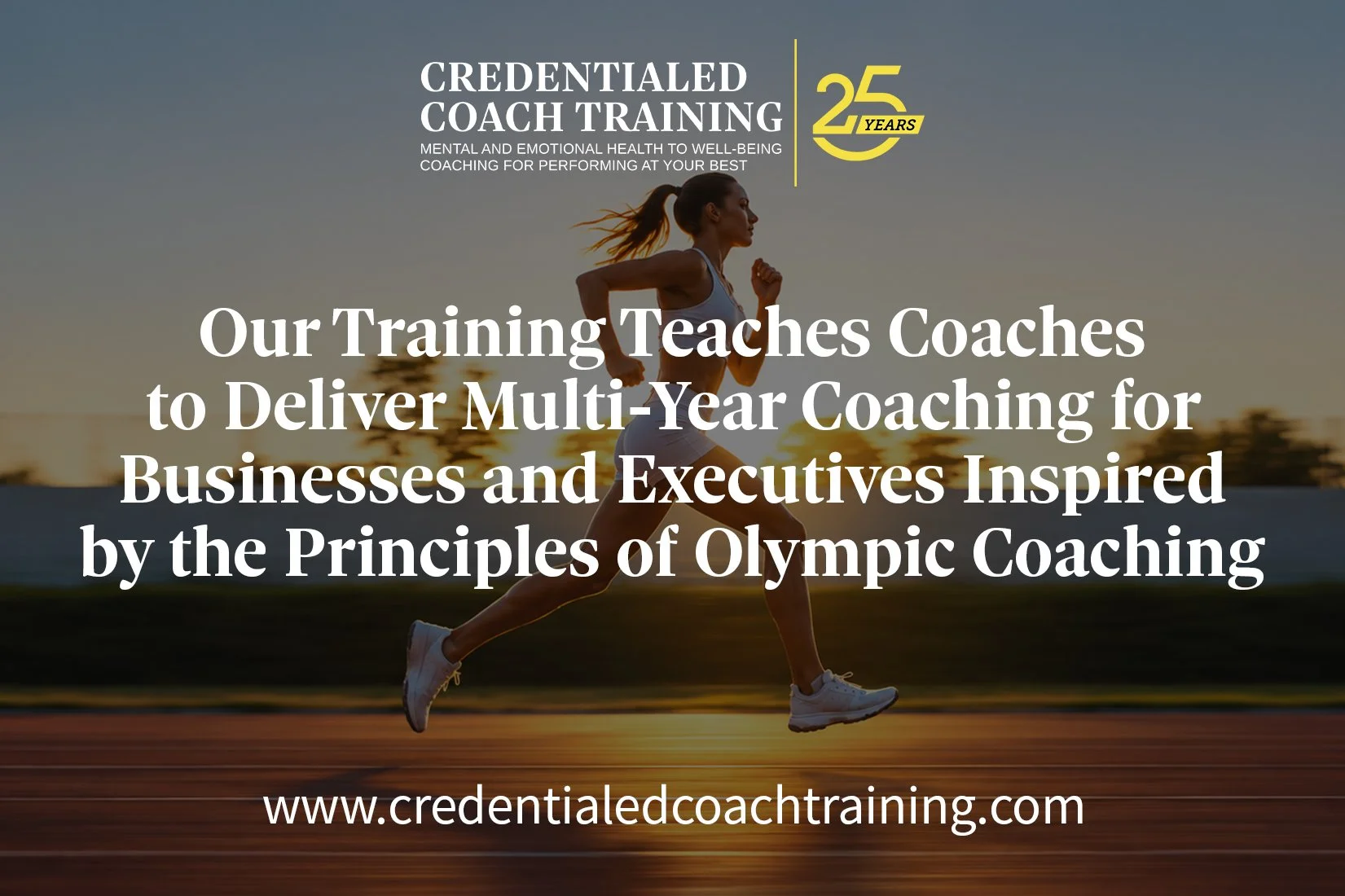 Our Training Teaches Coaches to Deliver Multi-Year Coaching for Businesses and Executives Inspired by the Principles of Olympic Coaching