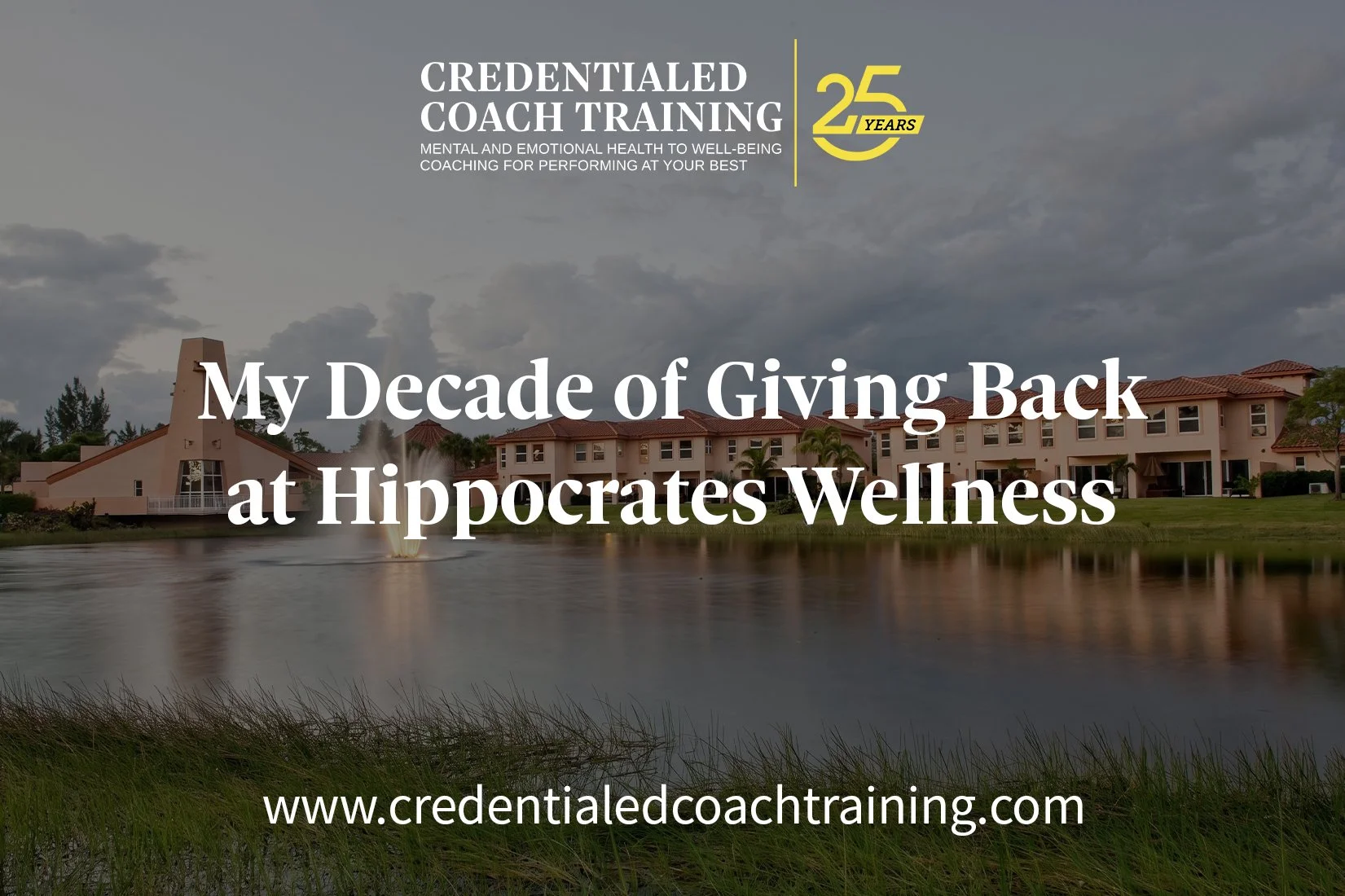 My Decade of Giving Back at Hippocrates Wellness