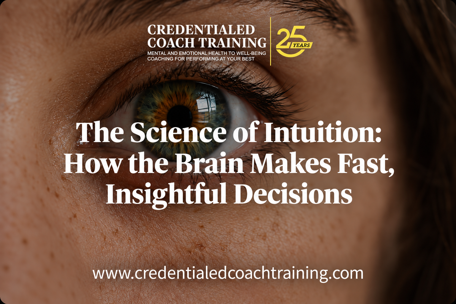 The Science of Intuition: How the Brain Makes Fast, Insightful Decisions