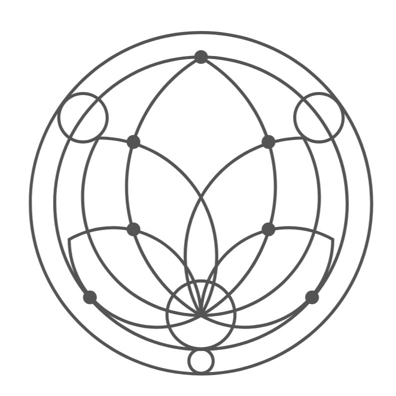 Circle diagram with interconnected lines and points, resembling a sacred geometric pattern or mystical symbol.
