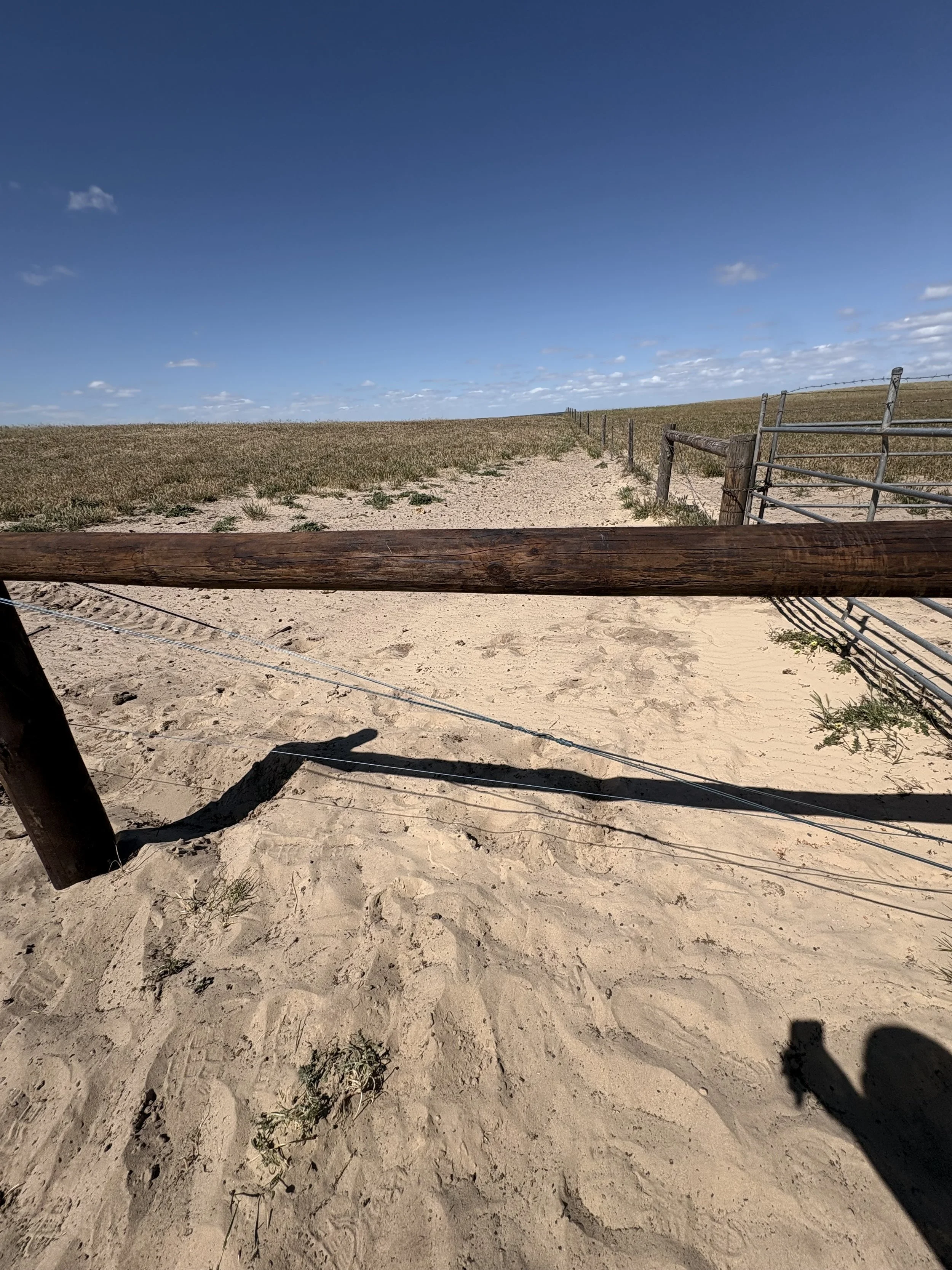 A sandy dirt path leading through a landscape with dry grass and sparse vegetation, bordered by wooden and metal fences, under a partly cloudy blue sky.