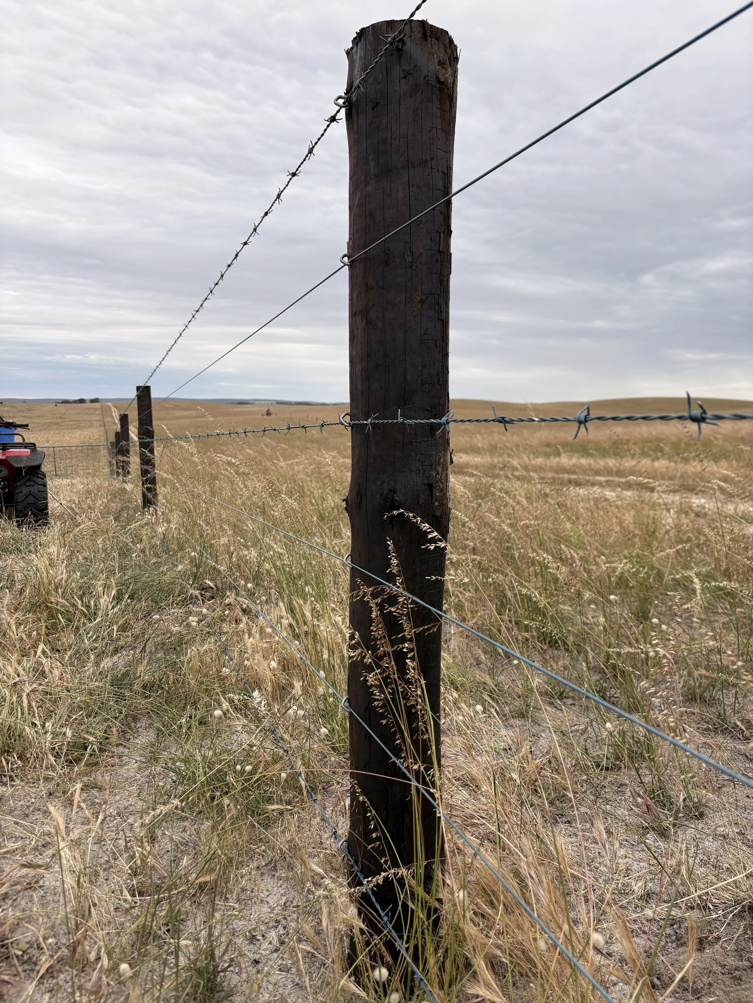 A close-up view of a wooden fence post with barbed wire fencing extending into the distance across a grassy field under a cloudy sky.