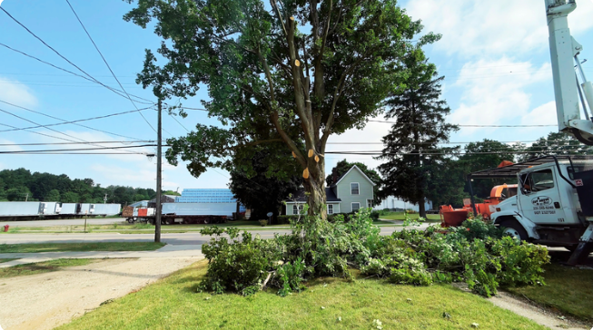 A large maple tree limb being safely lowered from an aerial boom by West Michigan Tree Services, demonstrating the precision and heavy-duty equipment required for professional residential tree care.