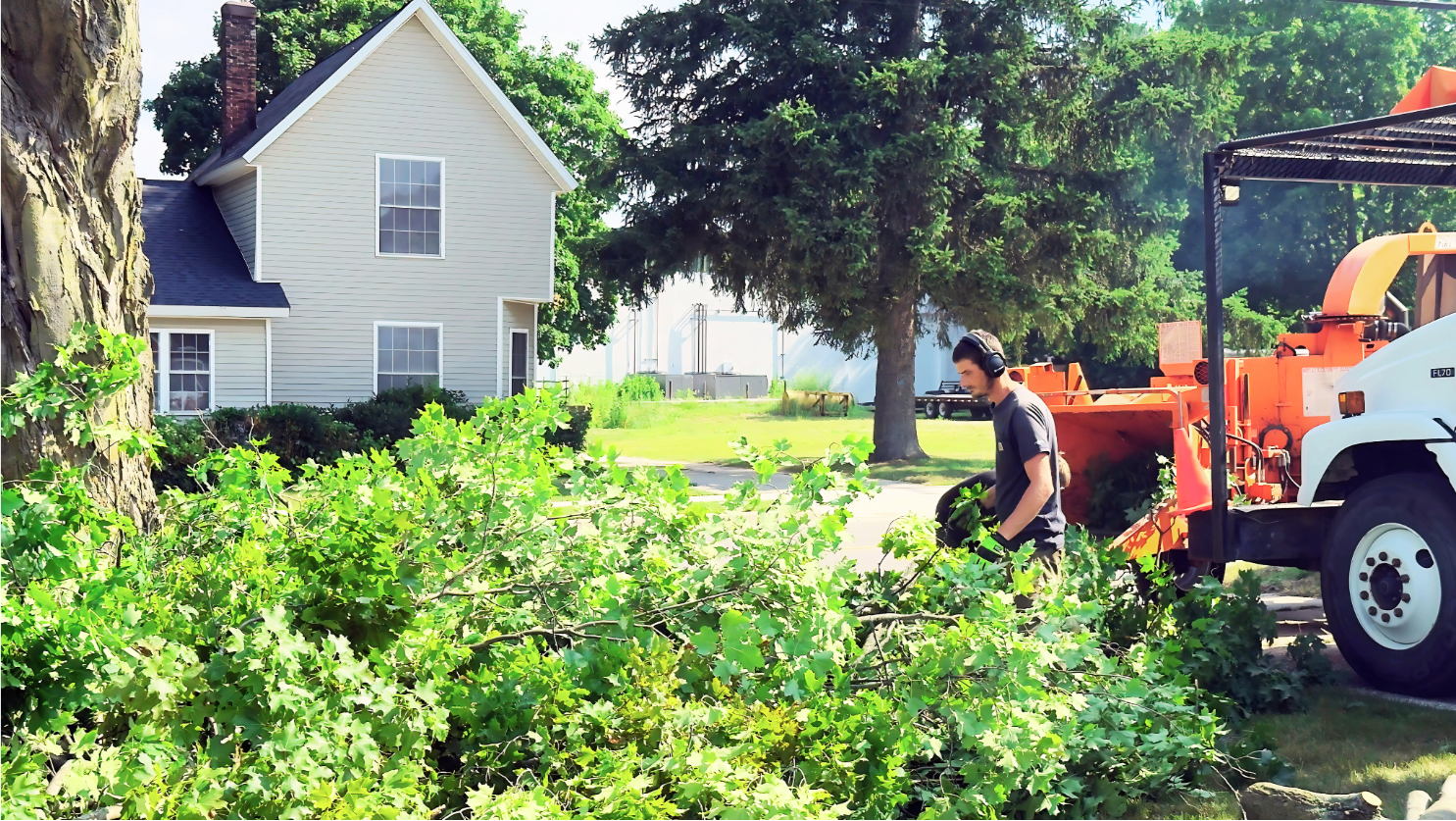 A West Michigan Tree Services ground crew member wearing safety gear clears cut maple tree branches near a commercial wood chipper, demonstrating synchronized and efficient residential cleanup operations.