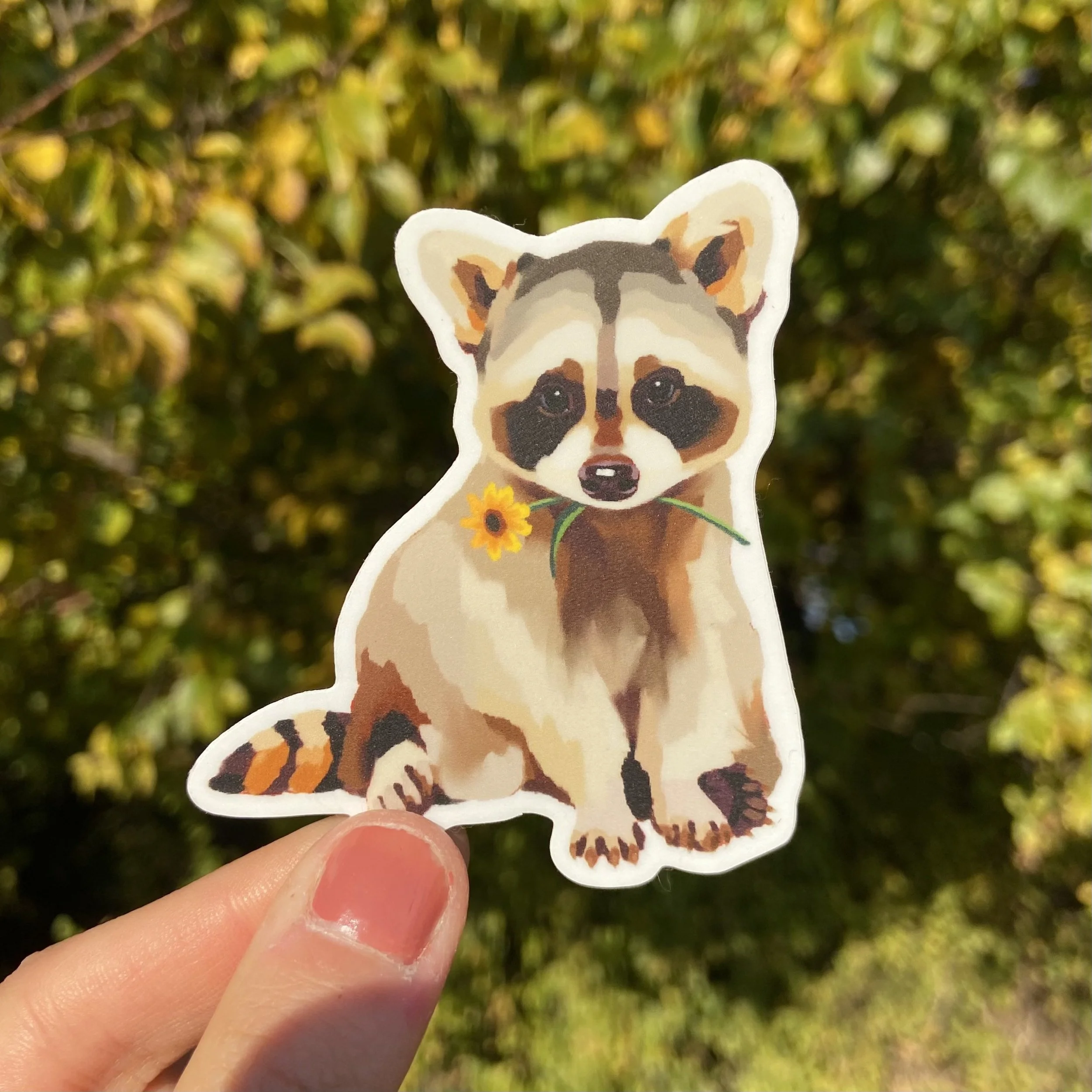 Raccoon Vinyl Sticker