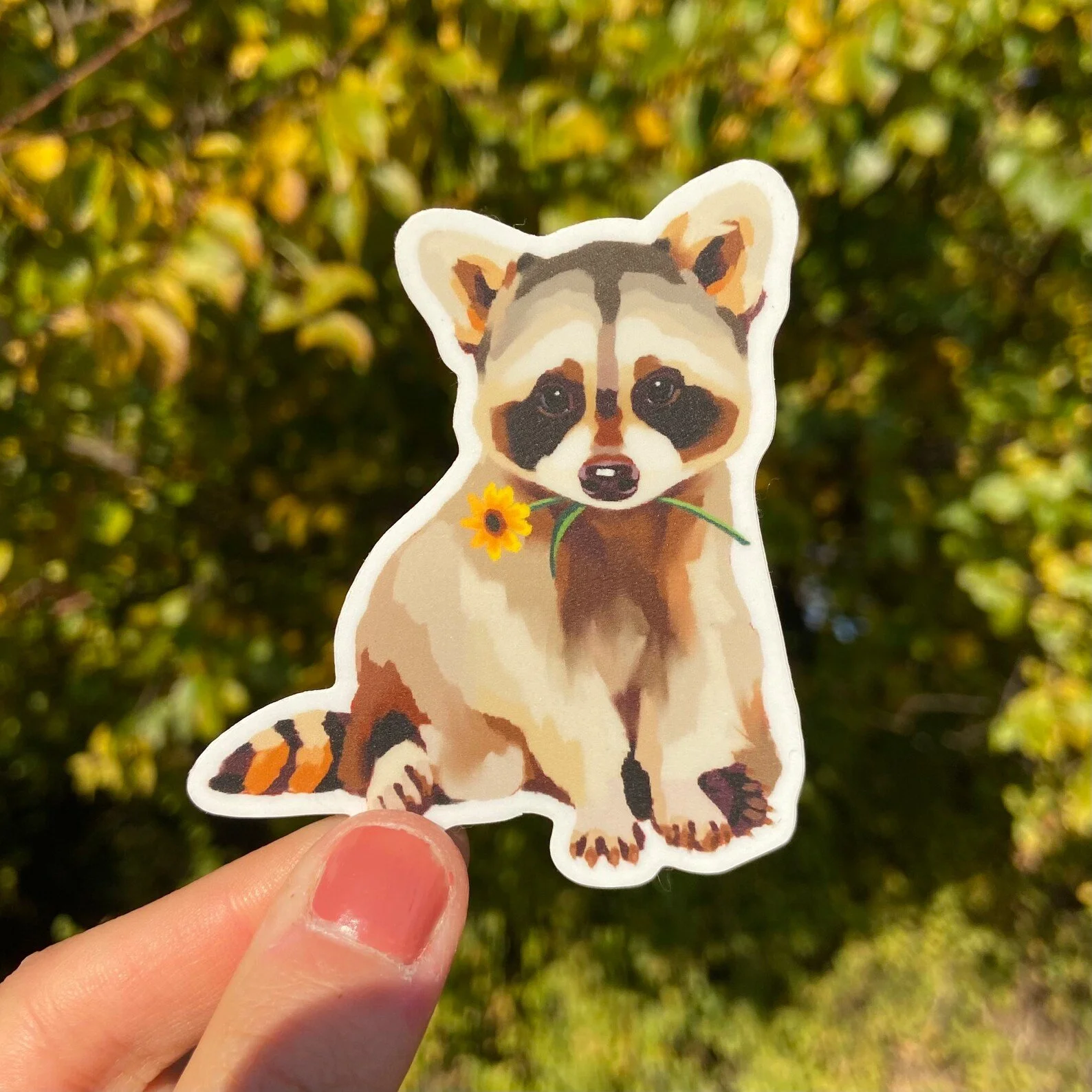 Sticker of a cute raccoon holding a sunflower, sitting, with a yellow-green background.