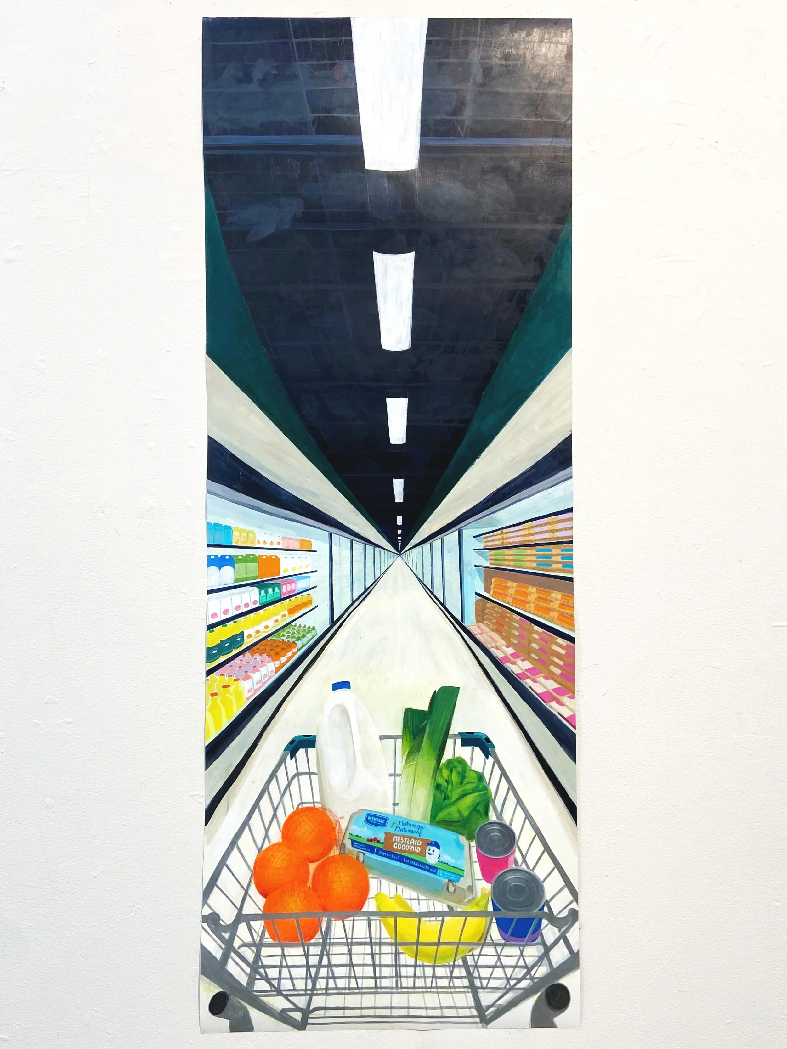 Sobeys Shopping Trip!