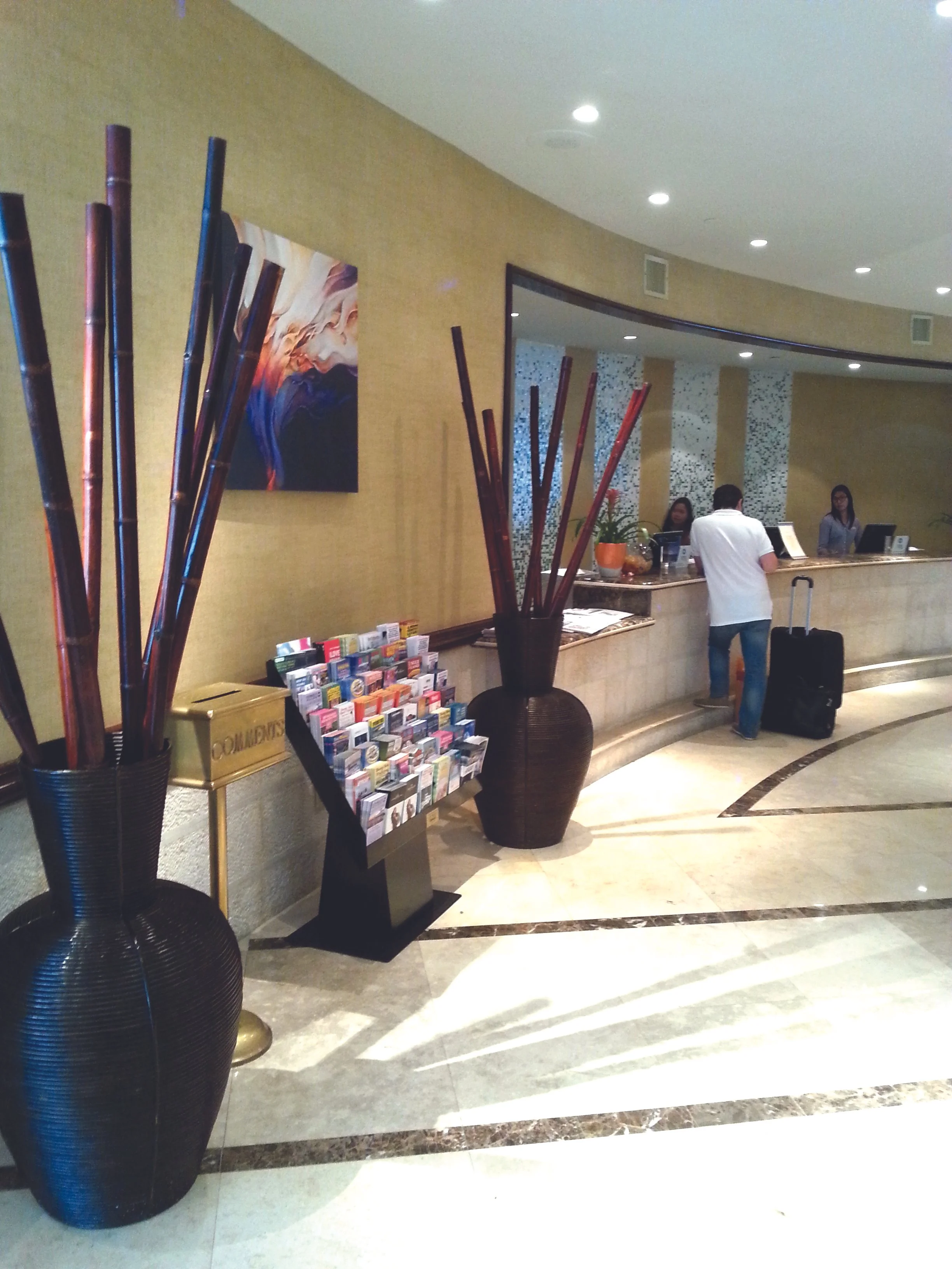 Hotel reception with a man checking in, two staff members behind the counter, large vases with decor, and a brochure stand.