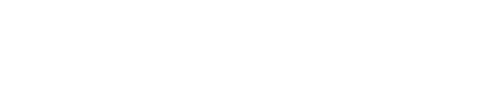 Viva Wallet logo