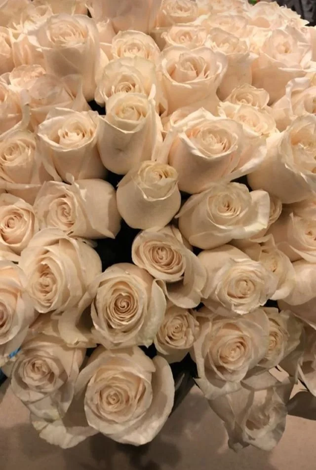 Steady Presence Abortion Support