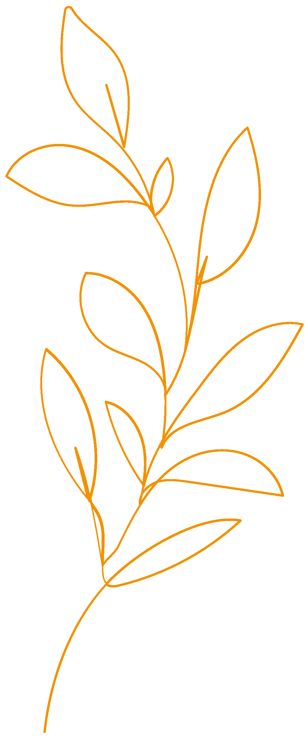 Illustriertes braunes Blatt und Zweig auf schwarzem Hintergrund.