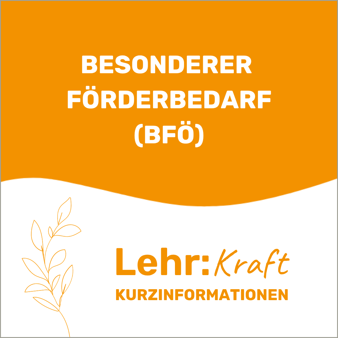 Besonderer Förderbedarf