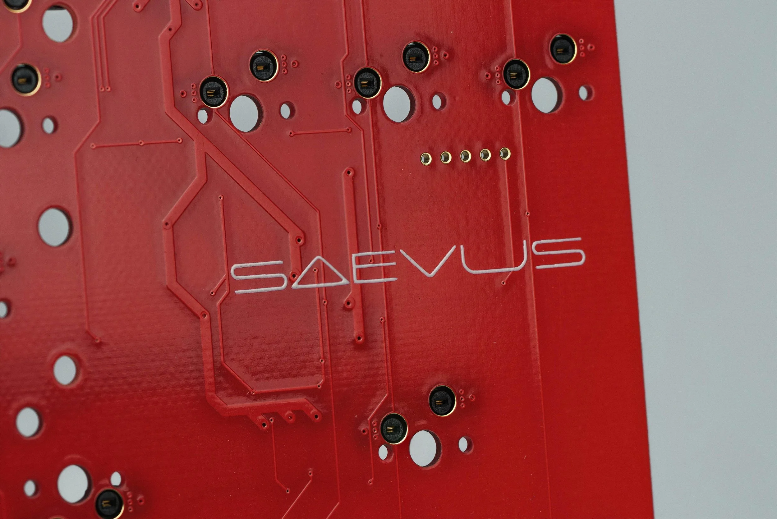 Saevus
