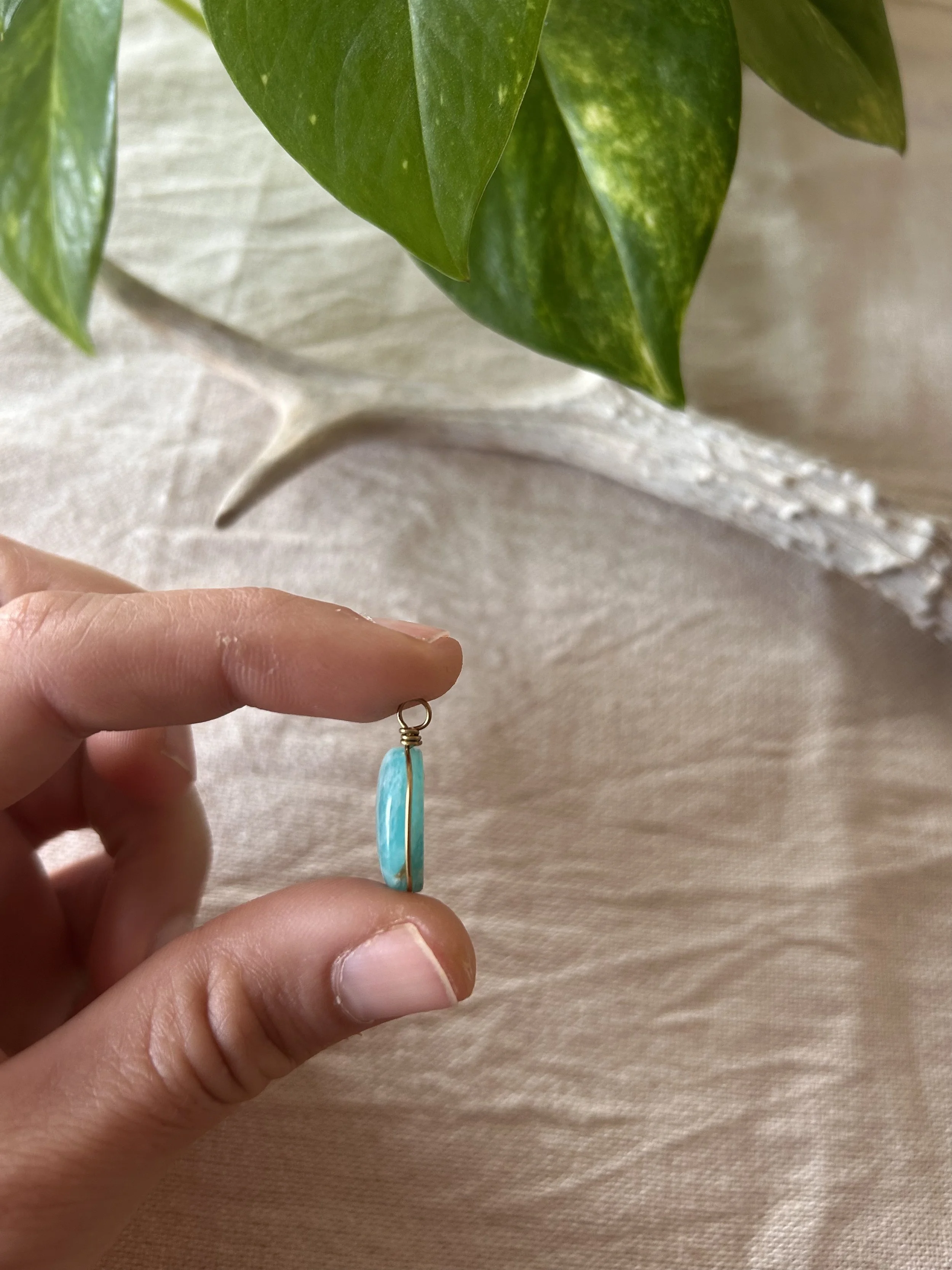 IMG_7541.jpg