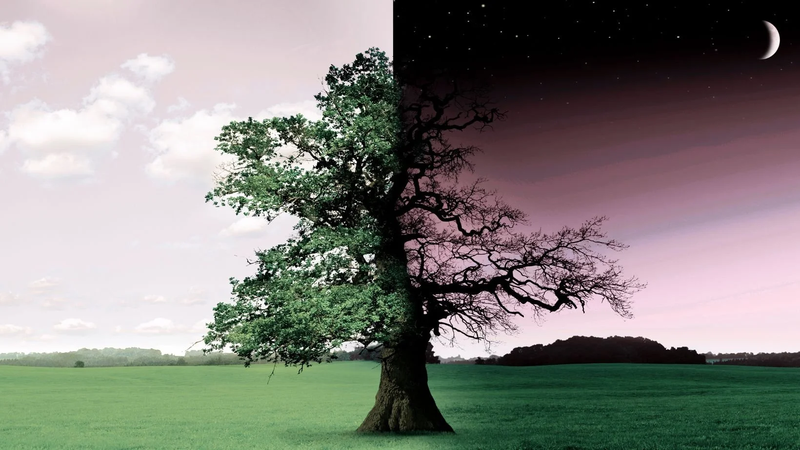 Natural Rhythms: How Chinese Medicine Anticipated Chronobiology