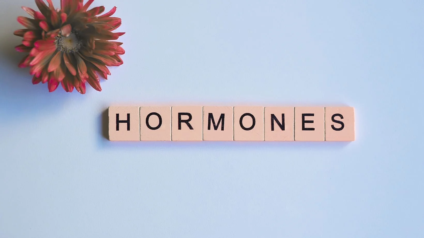 Understanding Your Hormones: A Clearer Picture of Your Overall Health