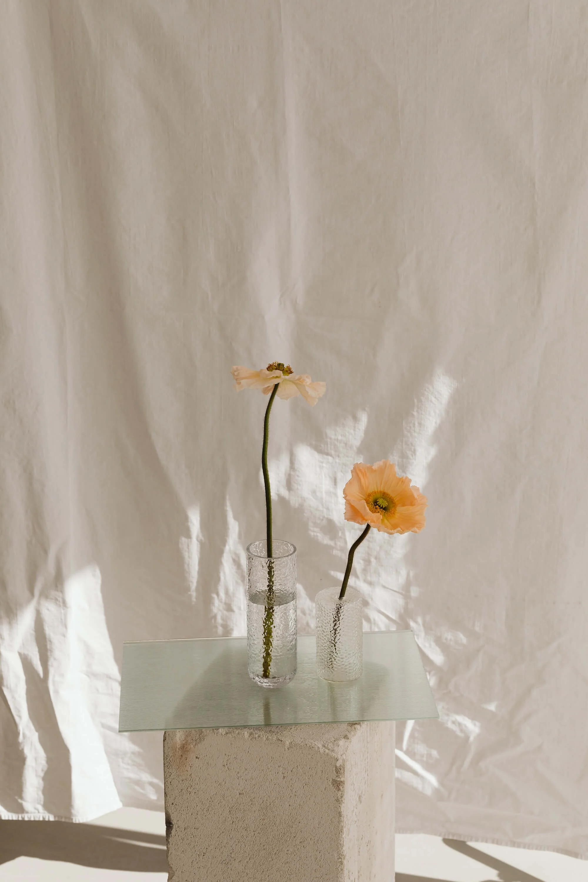 Marina Danilova flowers on a glass table